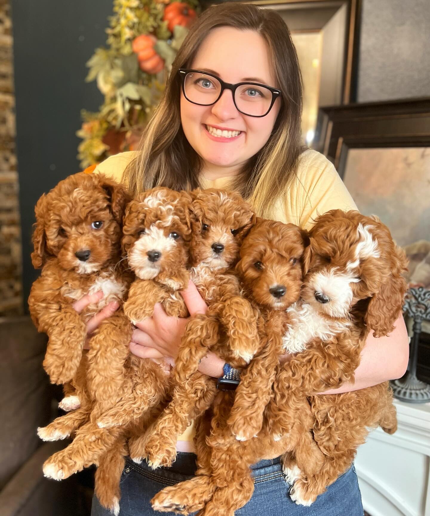 Congratulations to all the pups in Quinn &amp; Rover&rsquo;s Summer 2023 Litter! April goes home tomorrow, and Sunshine, Flash, Mac, and Flo all go home on Saturday! We&rsquo;re so excited that these puppies get to go home! Happy Gotcha Weekend! 🎉🐶