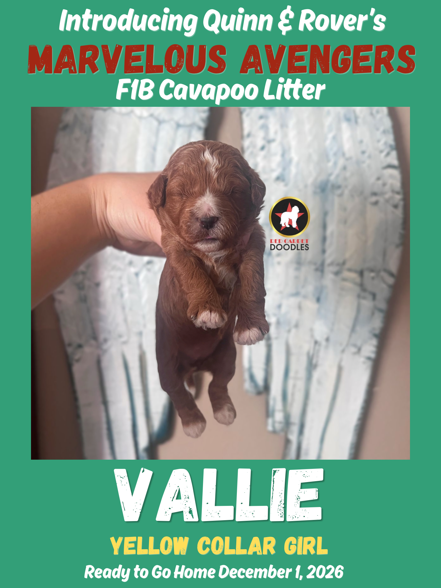 Vallie - 2 wk-2.png