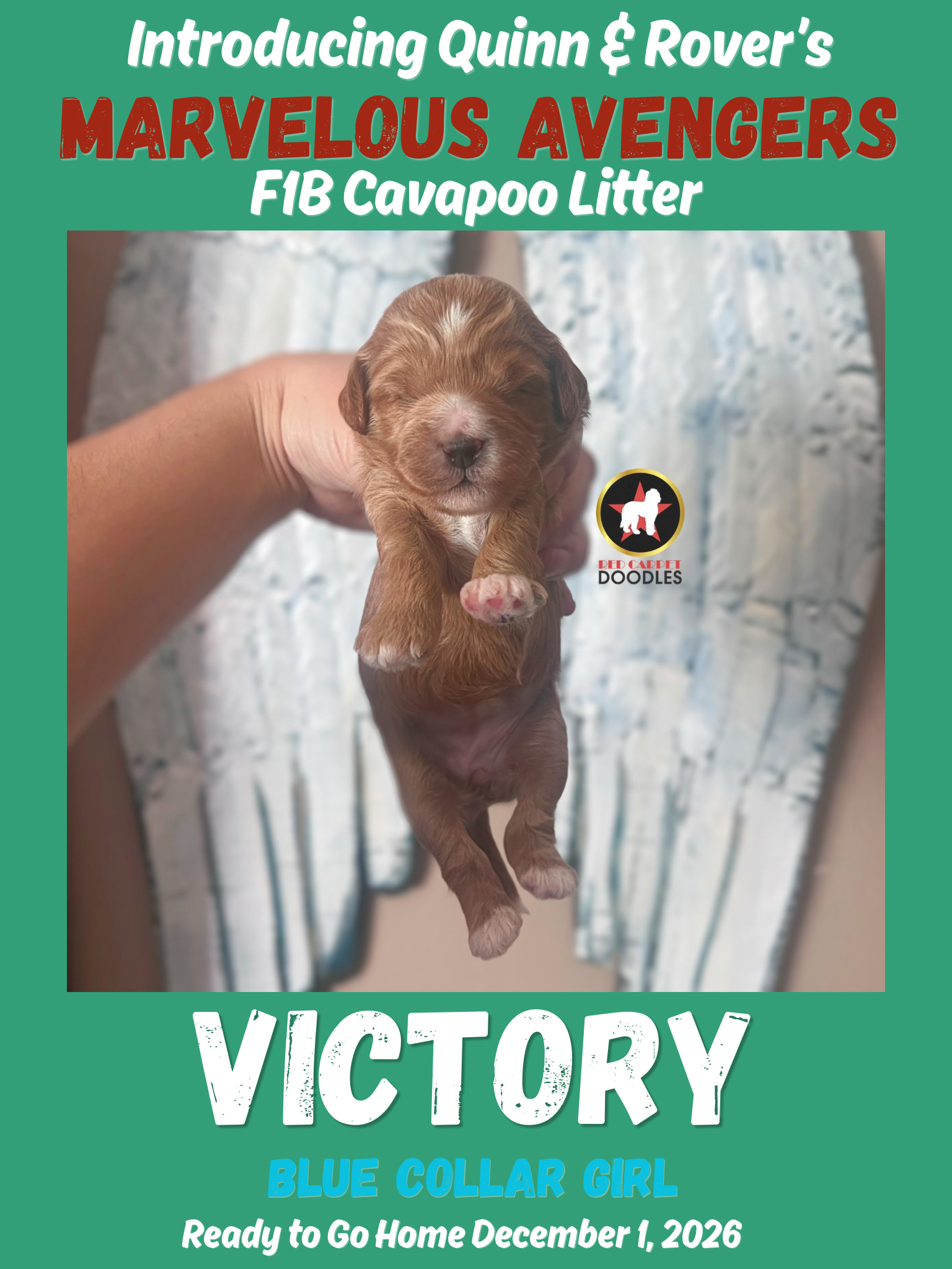 Victory - 2 wk-2.png