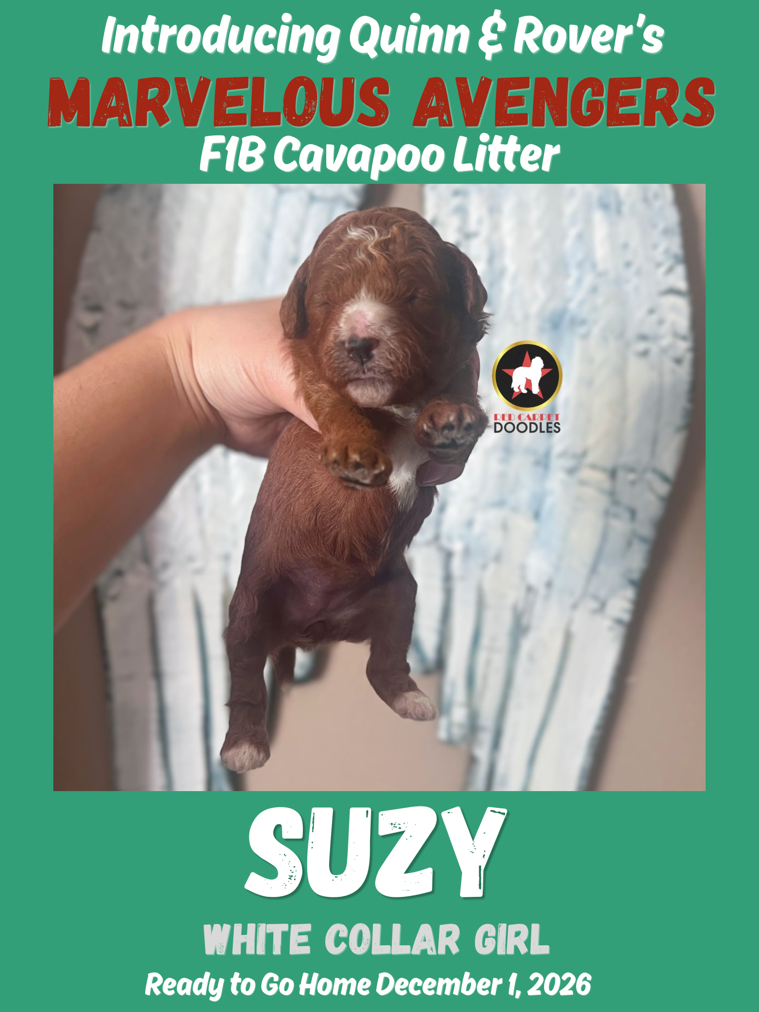 Suzy - 2 wk-2.png