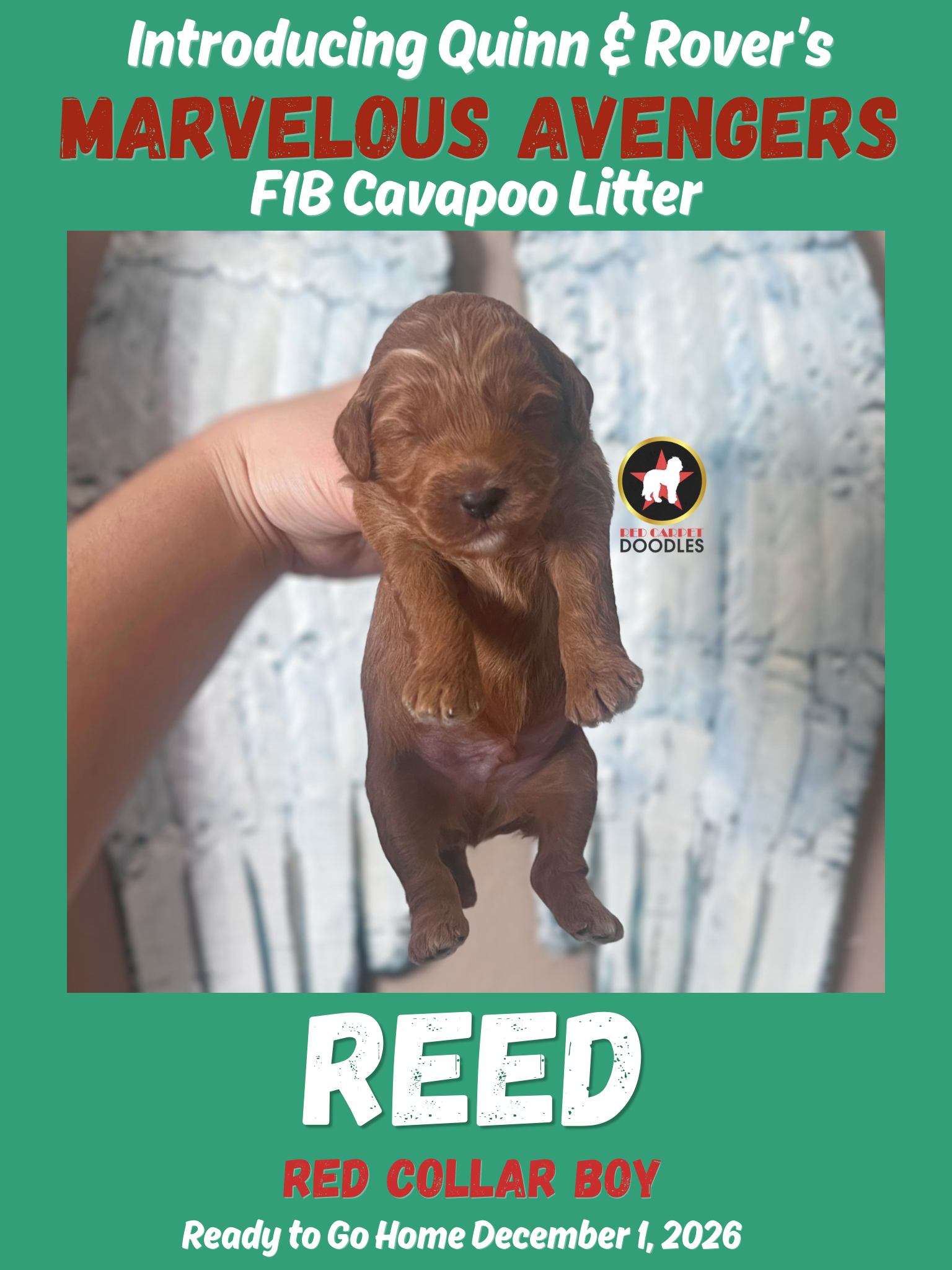 Reed - 2 wk-2.png