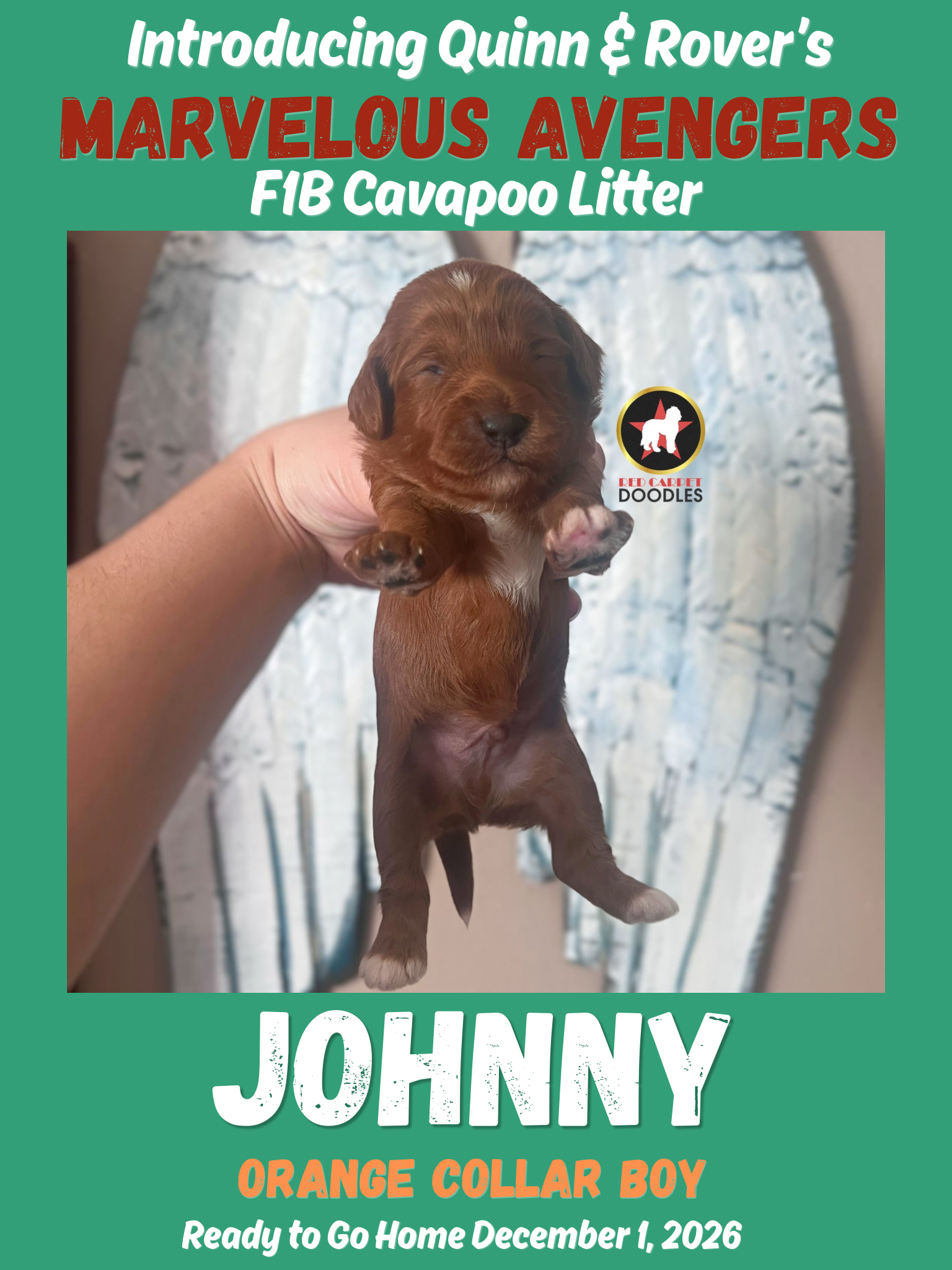 Johnny - 2 wk-2.png