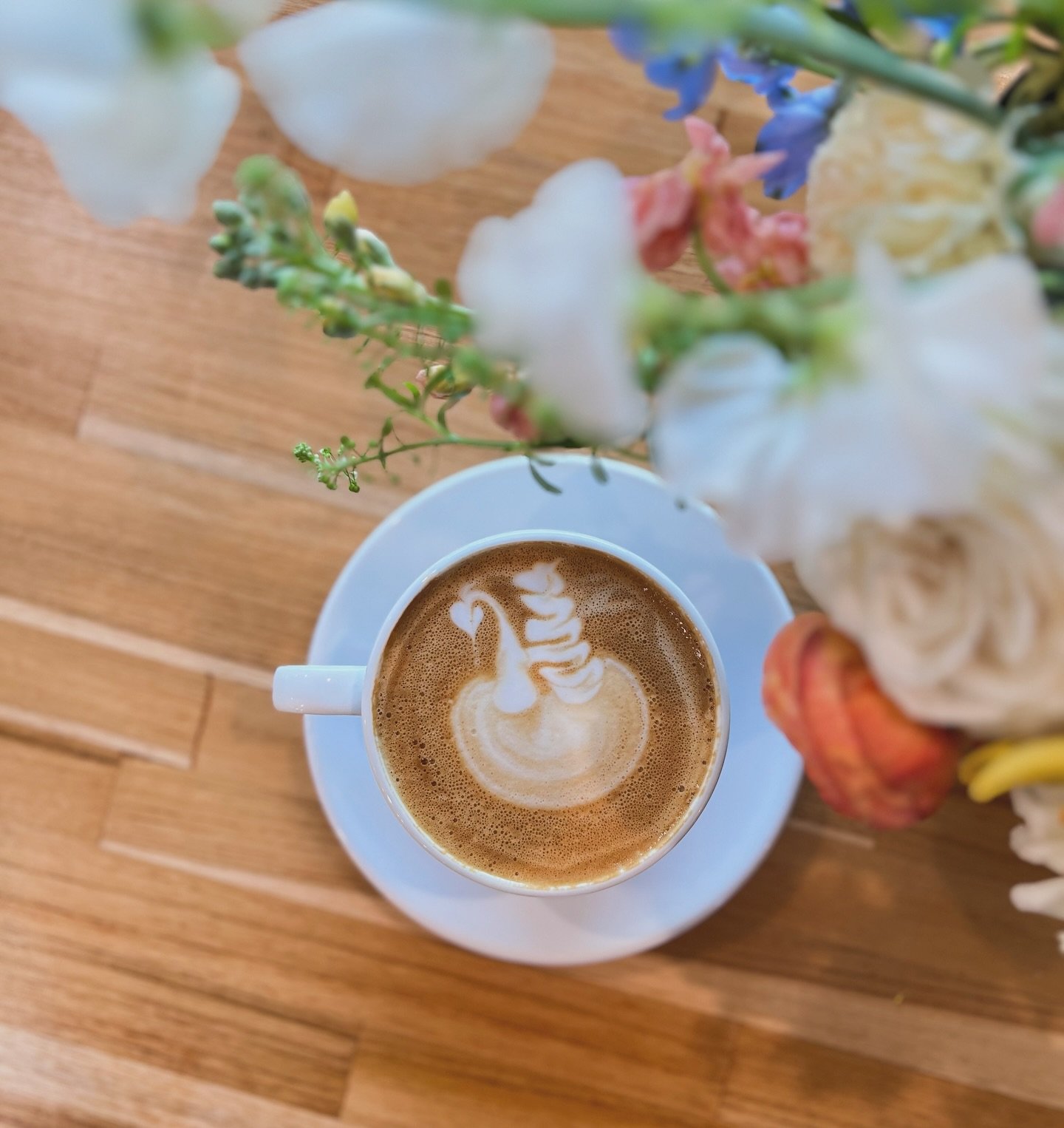 A cup of cozy 🦢 🌸  We&rsquo;d love to serve you one soon. Open tomorrow from 7-2! 

#levity #coffeelovers #espresso #latteart #latte #normanok #okc #okceats #normaneats #breakfast #breakfasthouse #breakfastlovers #brunch
