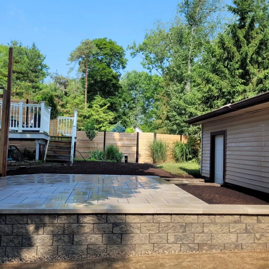 image_6487327 (7).JPG