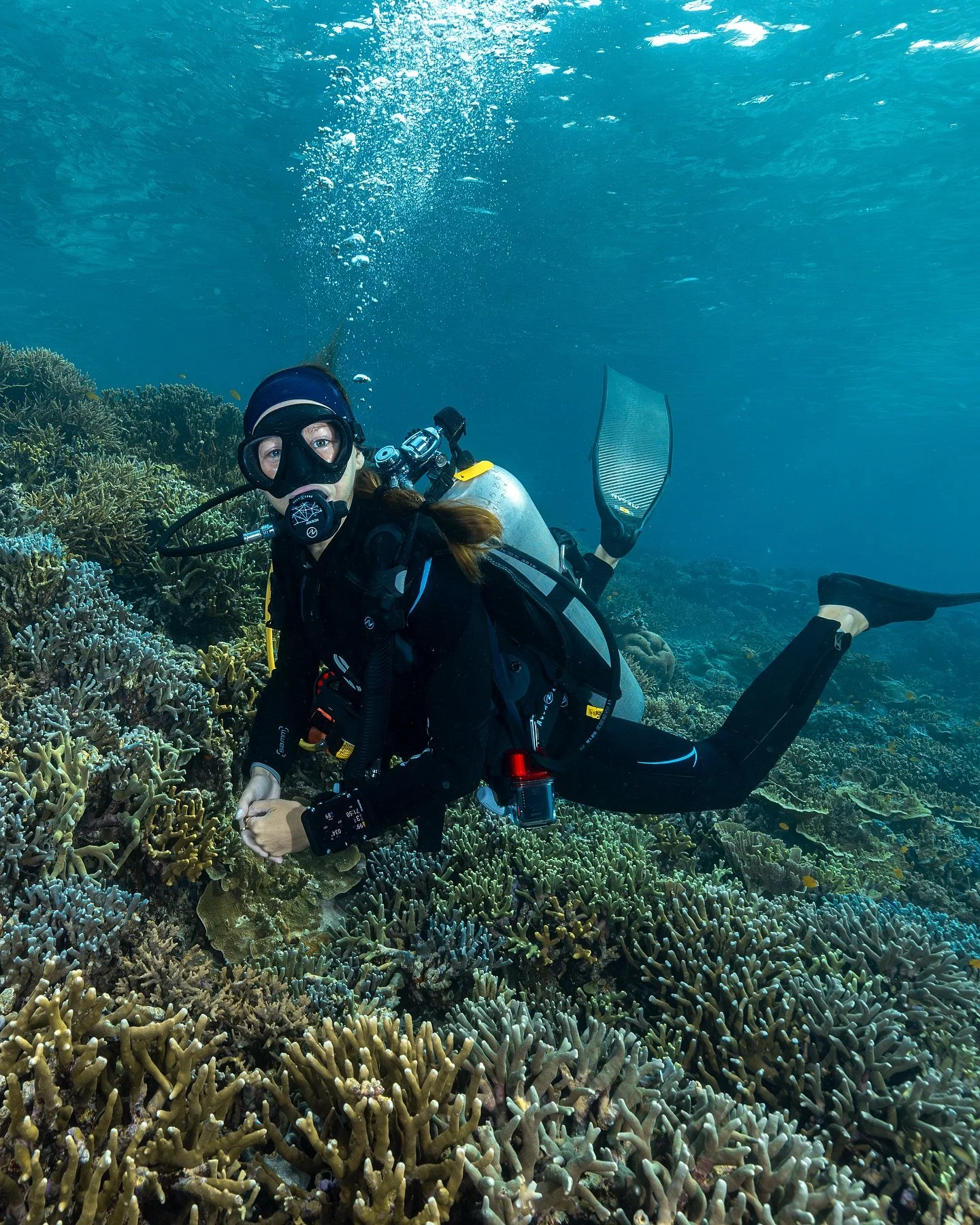 When I first started diving, I didn&rsquo;t realize how much goes into planning a dive beyond just showing up and getting in the water. But over time, you start to understand the ocean in a different way. You start watching the moon cycles, tracking 