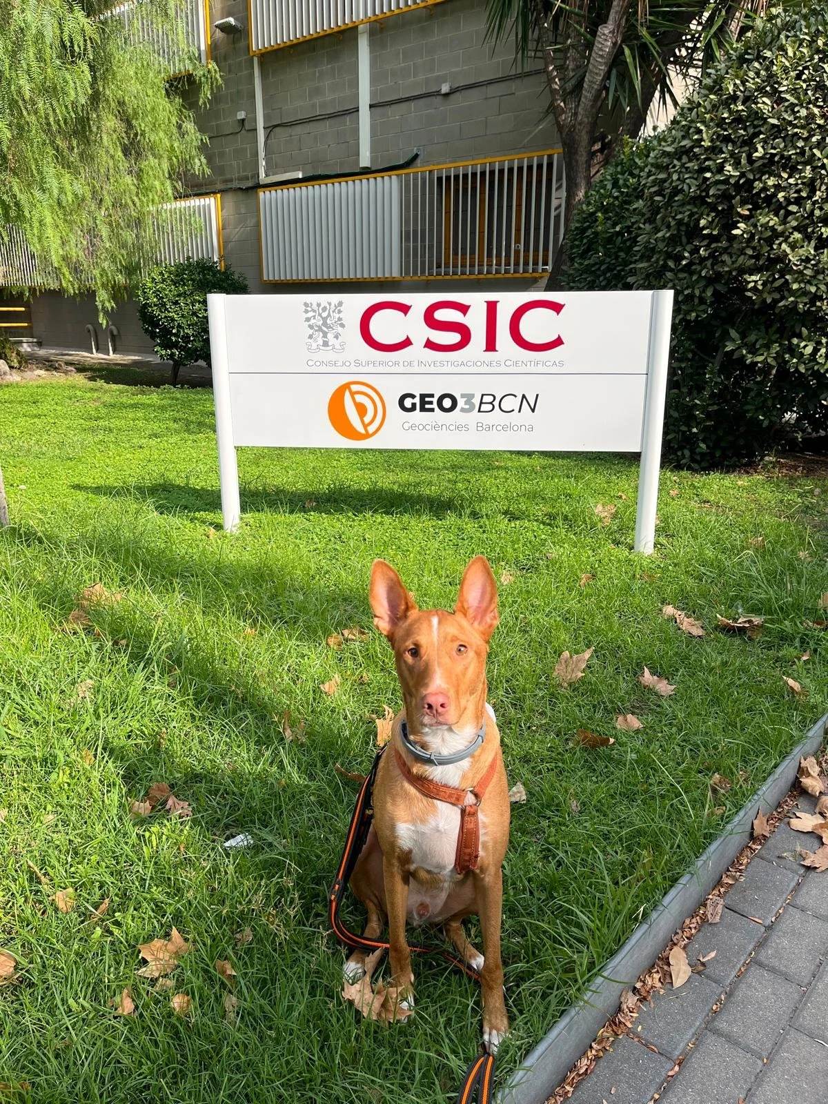 We’re in write-up mode