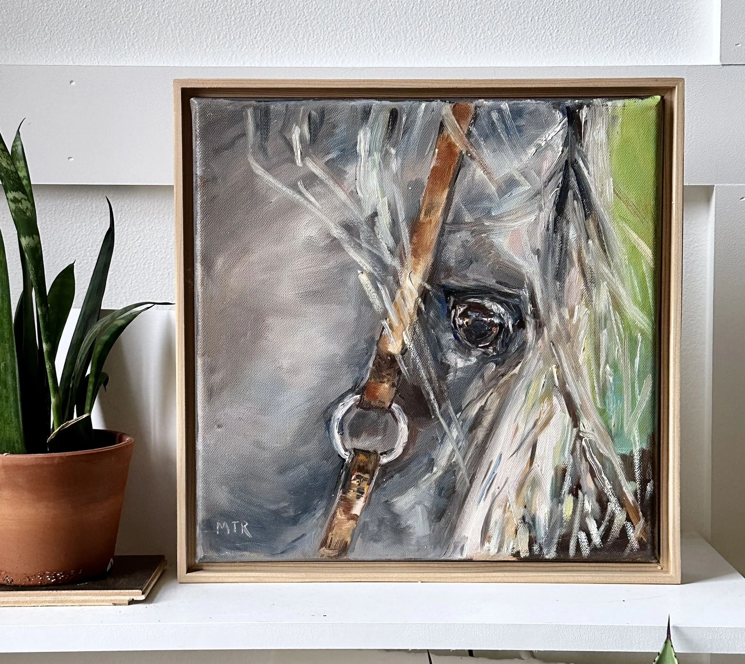 "Faith" gray horse painted in oil on stretched canvas