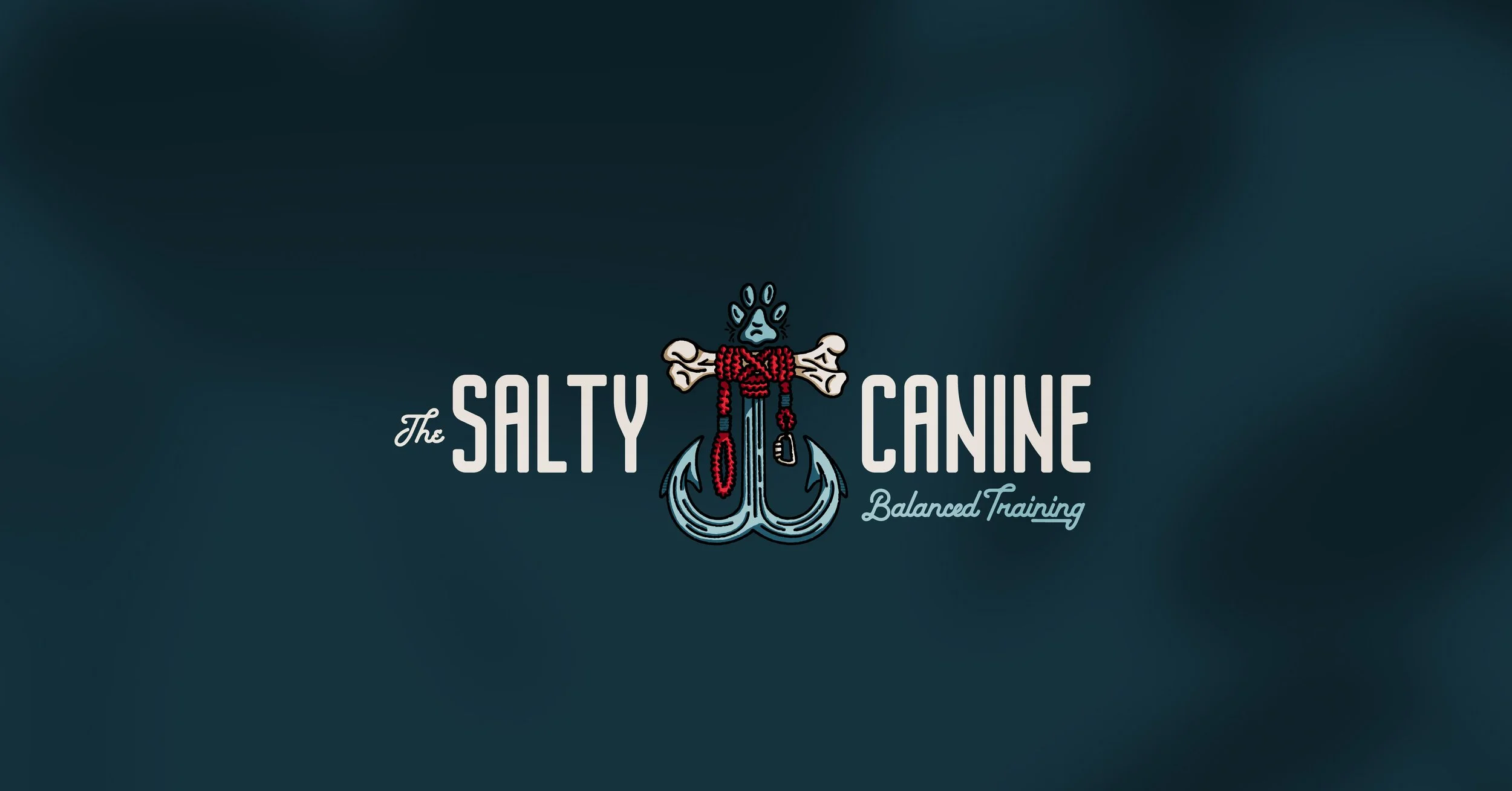saltycanine-img-cover.jpg