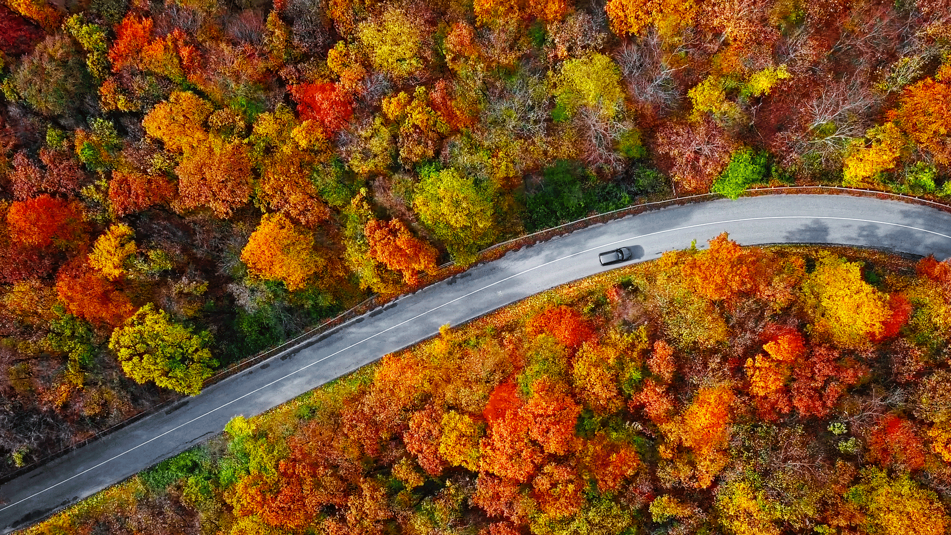 From Kickoff to Checkout: How Consumers Are Spending This Fall