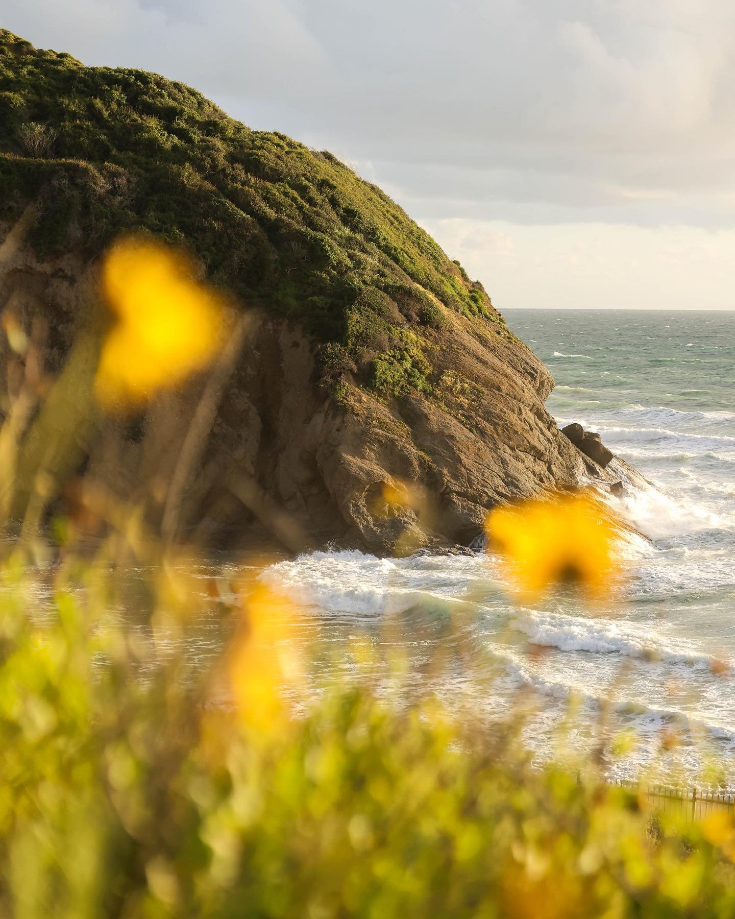 From my walk yesterday evening. One of my favorite views 💛 #danapoint #california #photography #landscapephotography #canon