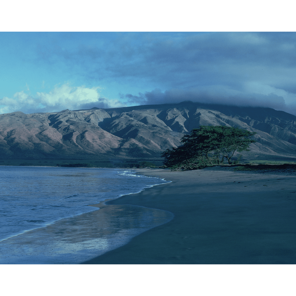 Maui 1976 by Sig Zane — Kaiao Space
