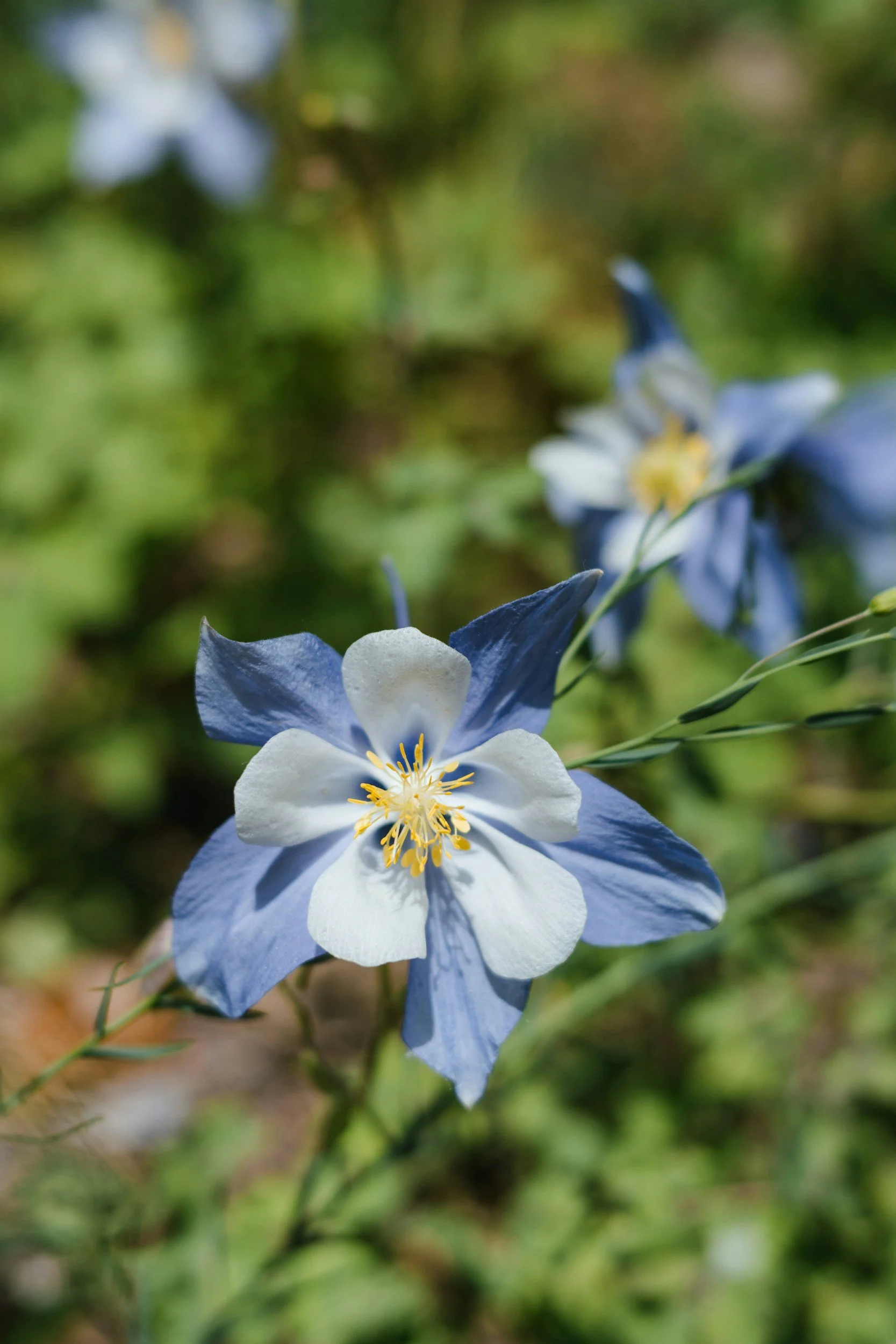 unsplash-image-7pUVRGuhnAU.jpg