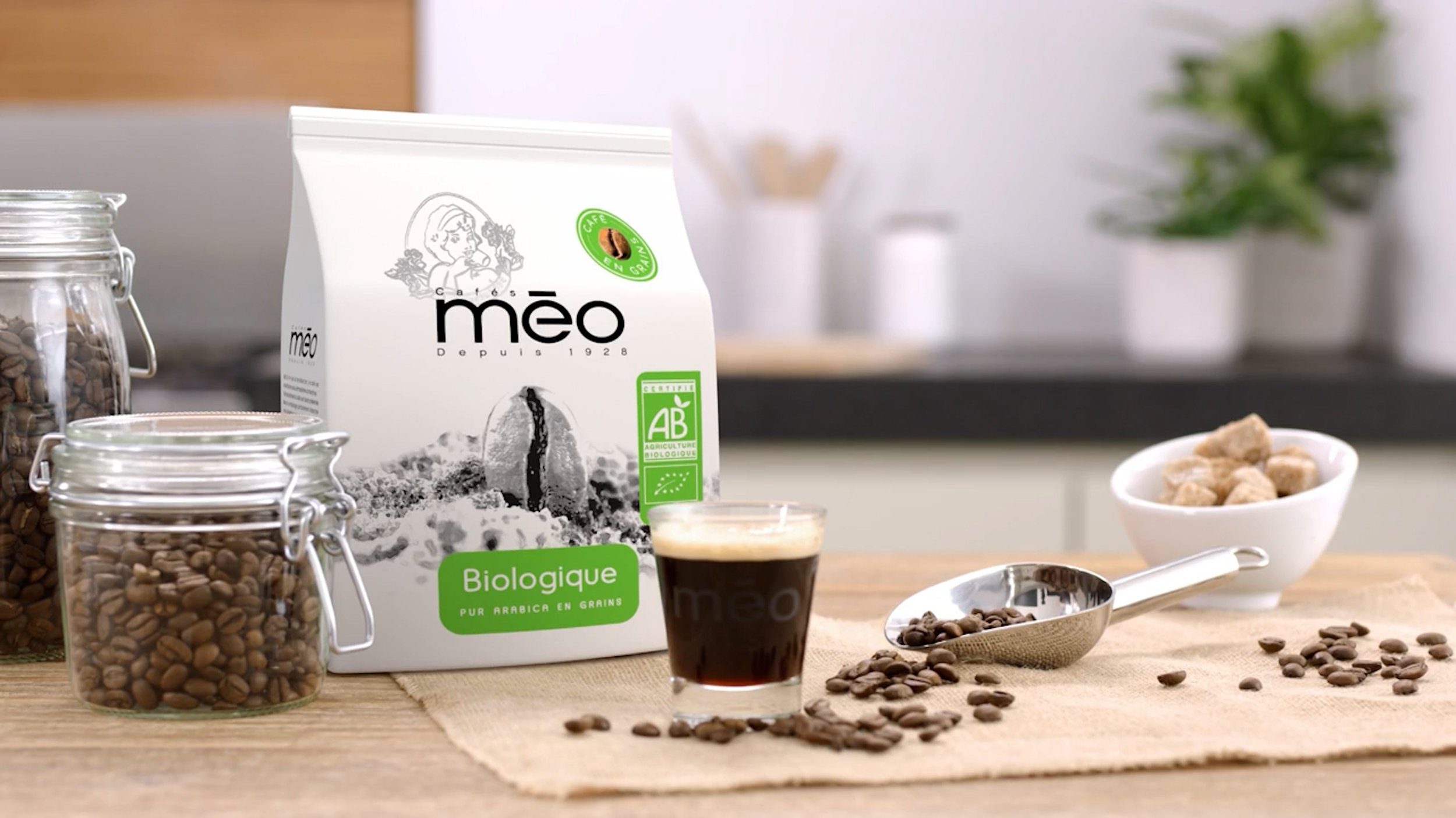 meo2.jpg
