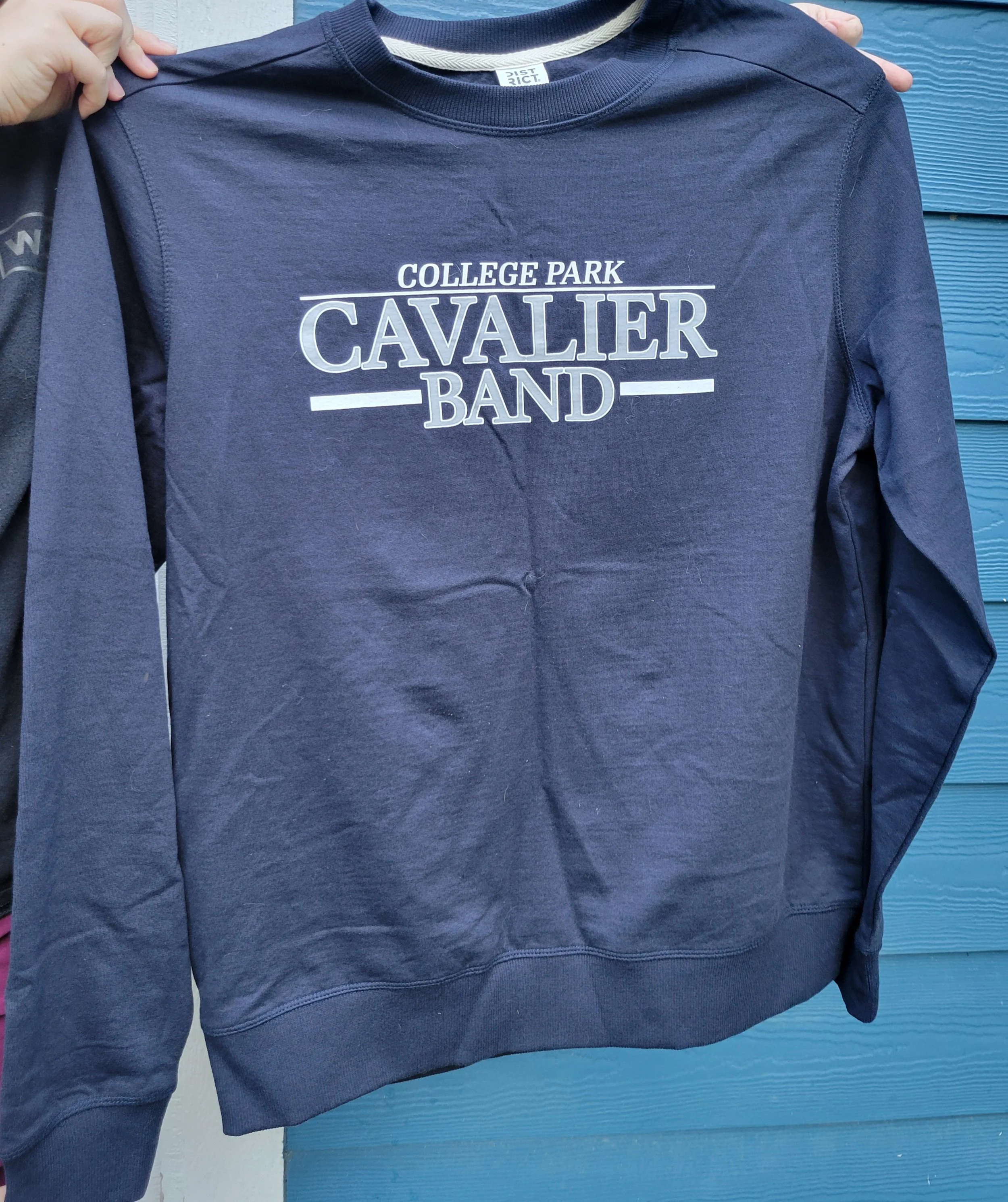 CP-Band-Sweatshirt.jpg