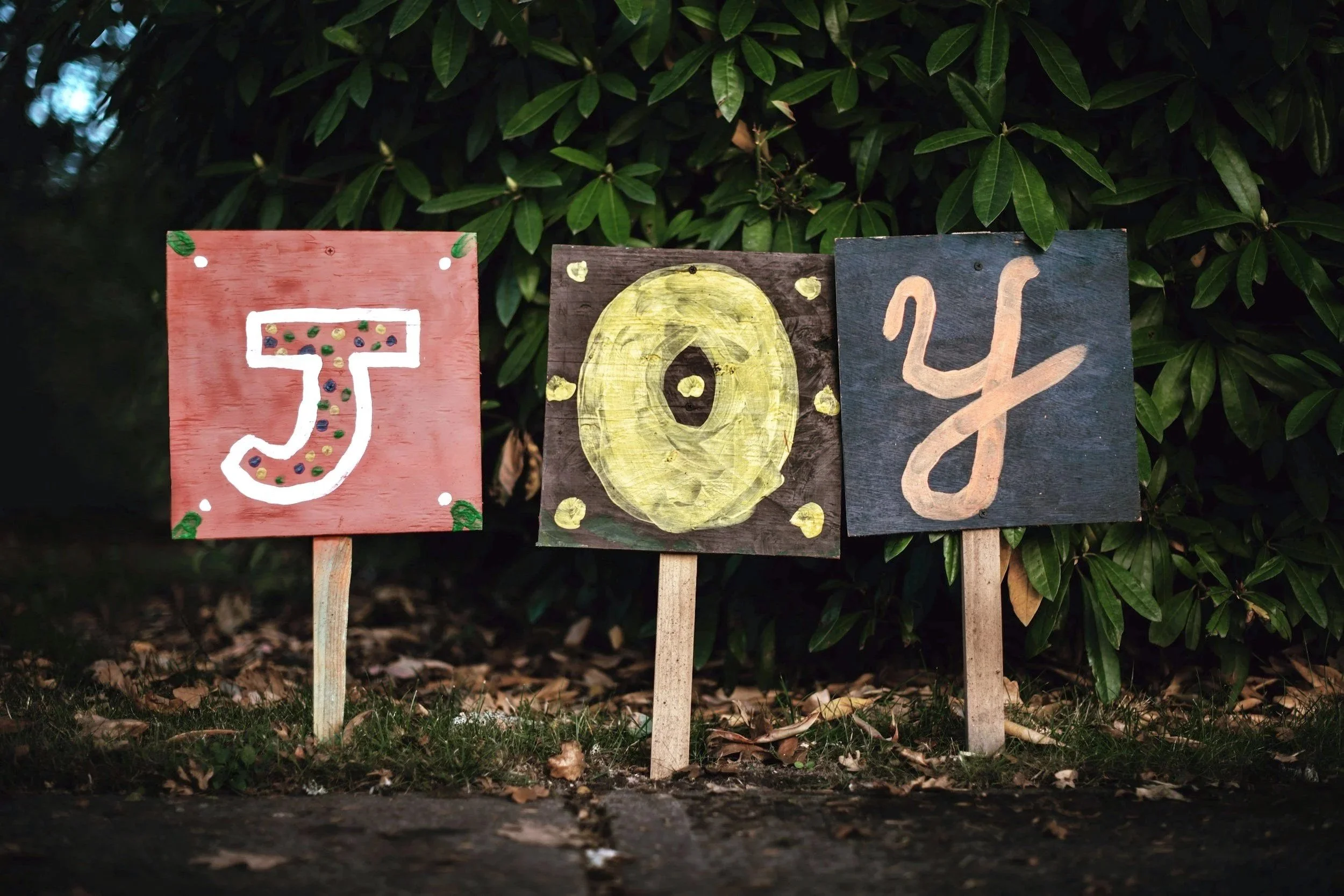 Energy of Joy: A Seasonal Invitation