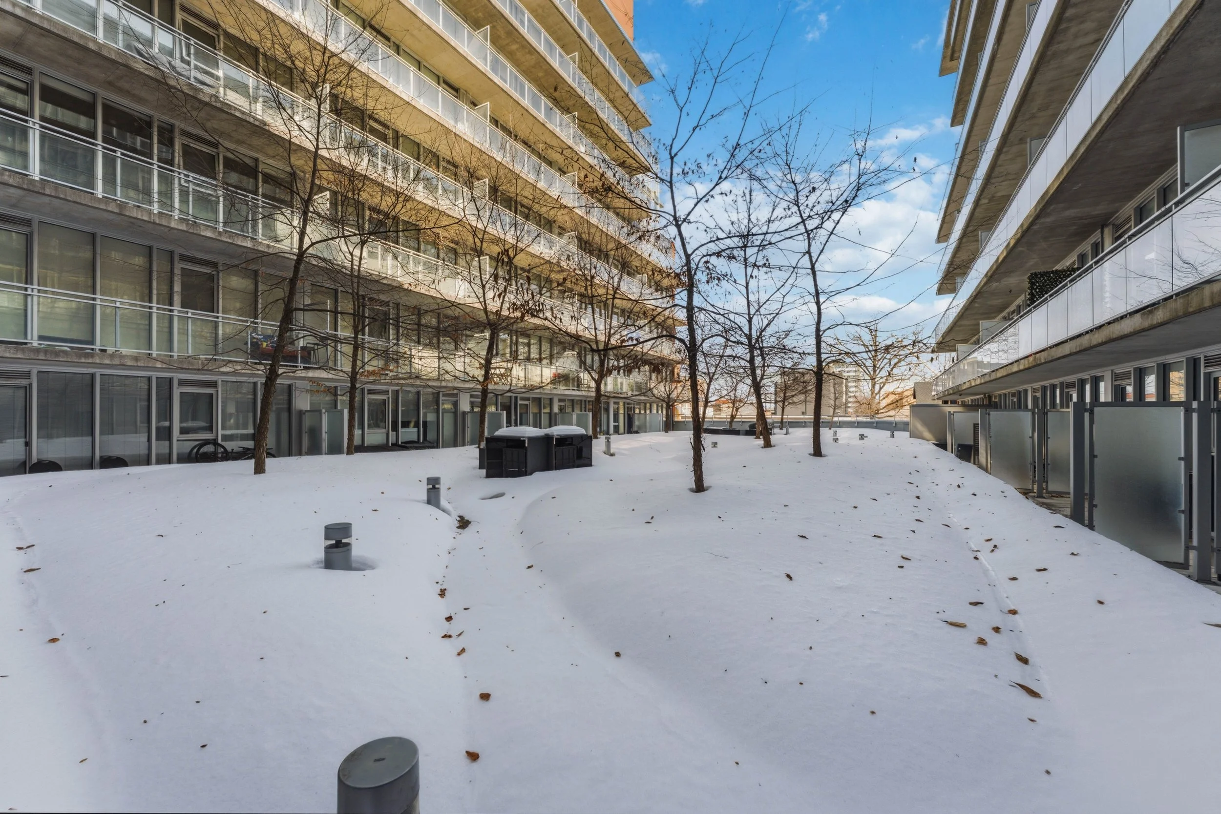 431-349 McLeod Street