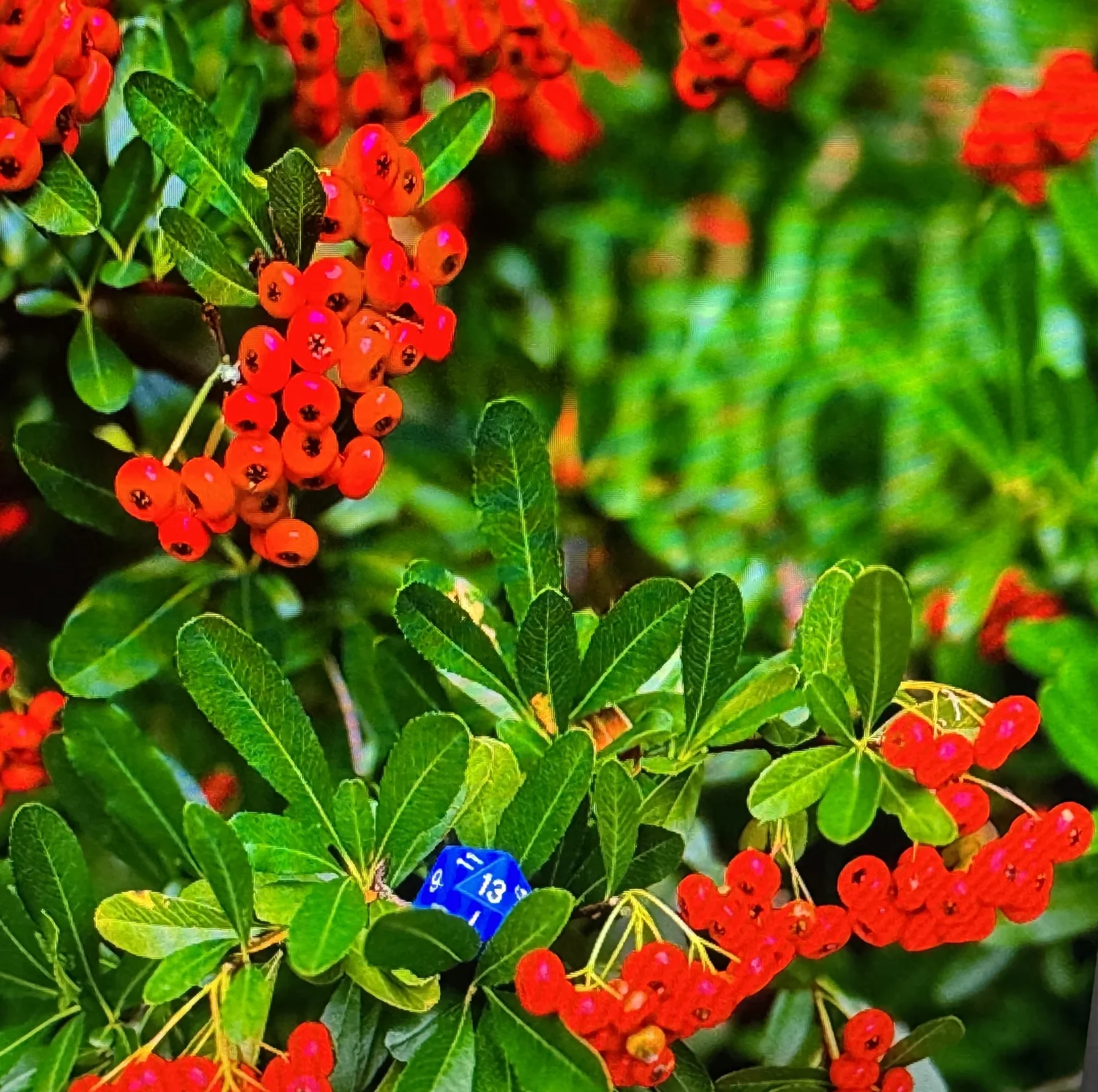 Trick Dice - 10 Years - Double LP — Trick Dice Records