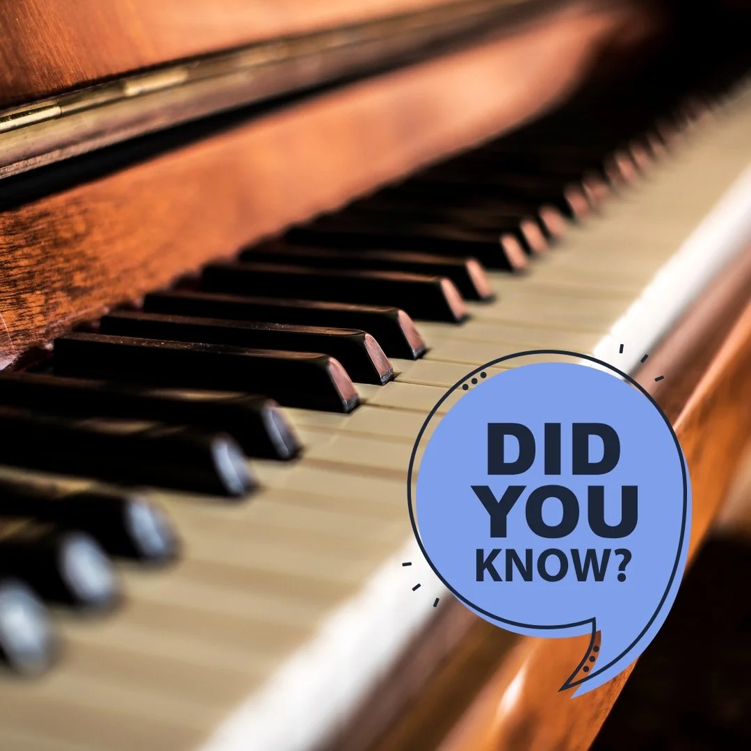 Inside your ear is a tiny, spiral-shaped organ called the cochlea. Think of it like a piano keyboard:
- Each section responds to a different pitch
- High notes are &ldquo;played&rdquo; at one end
- Low notes resonate at the other

When all the &ldquo