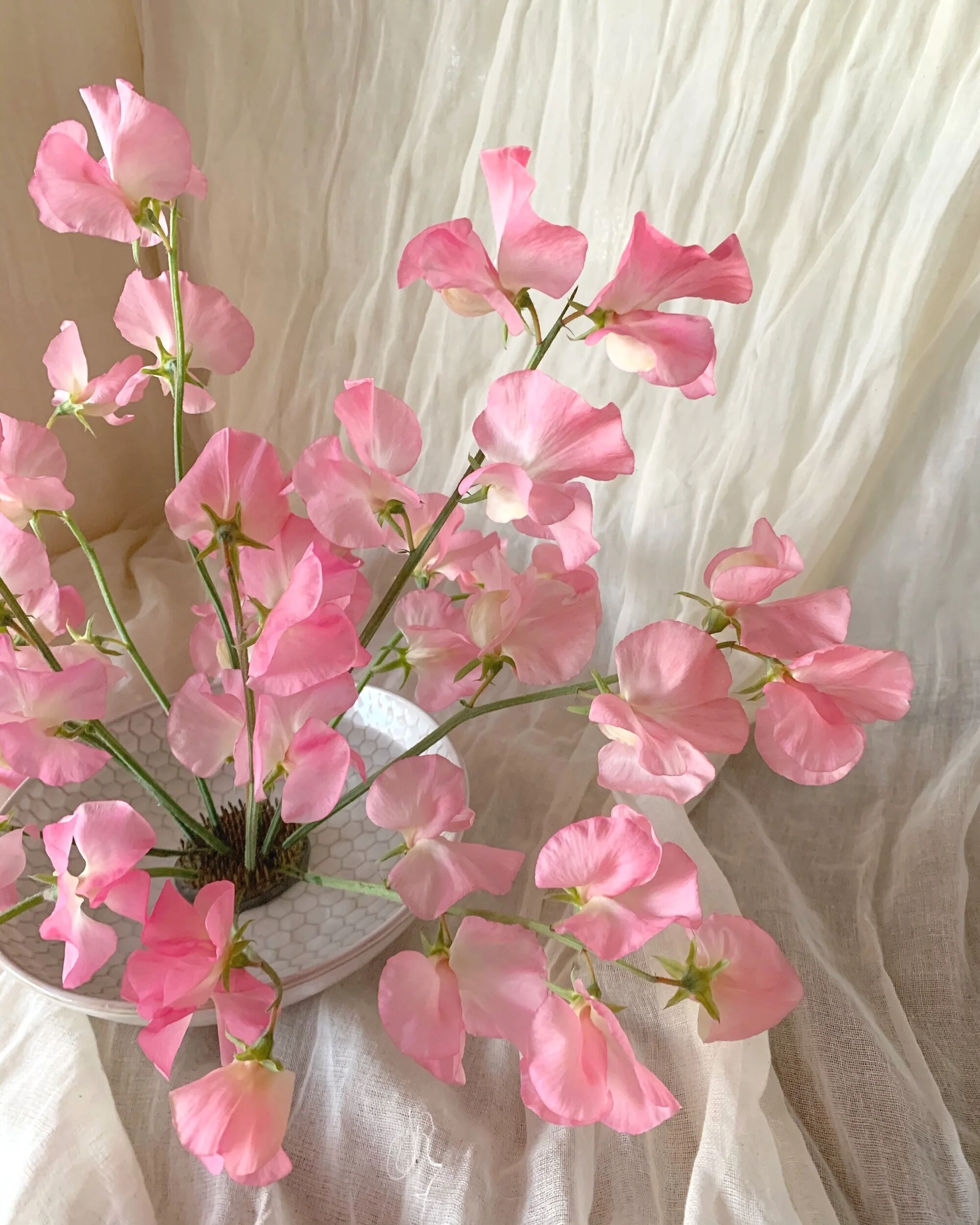 56AD508B-14D3-45CA-A5BB-21D8CC4D929B