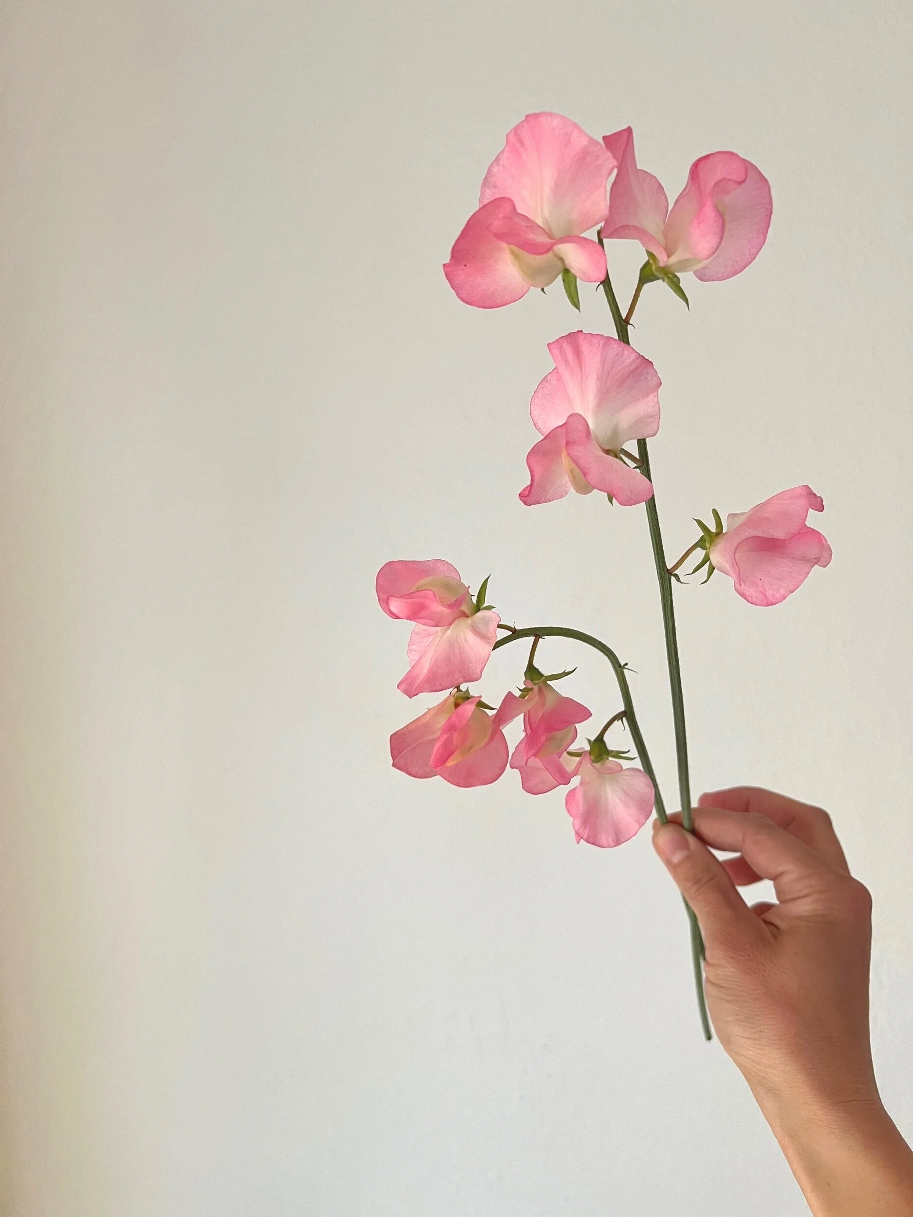 D94F9645-B3DB-4F86-B818-0DCB6302723E