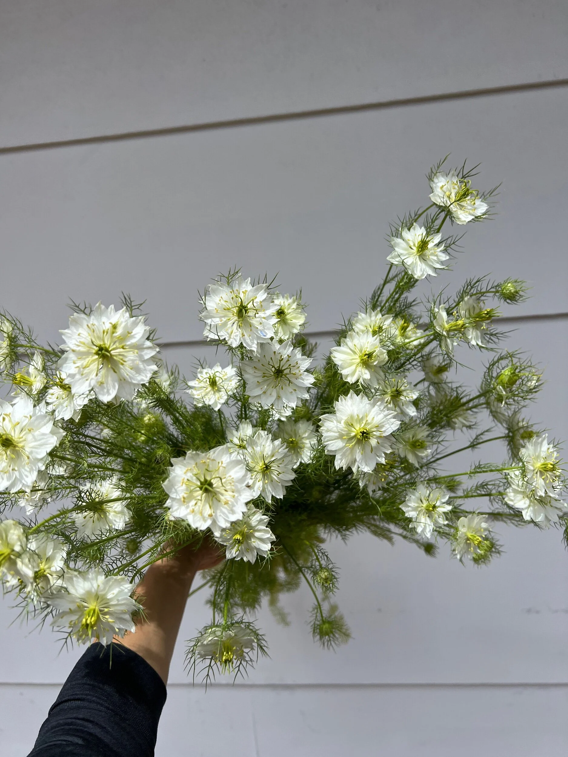 034299BA-8189-4E07-BA0A-BBEBCE55293D