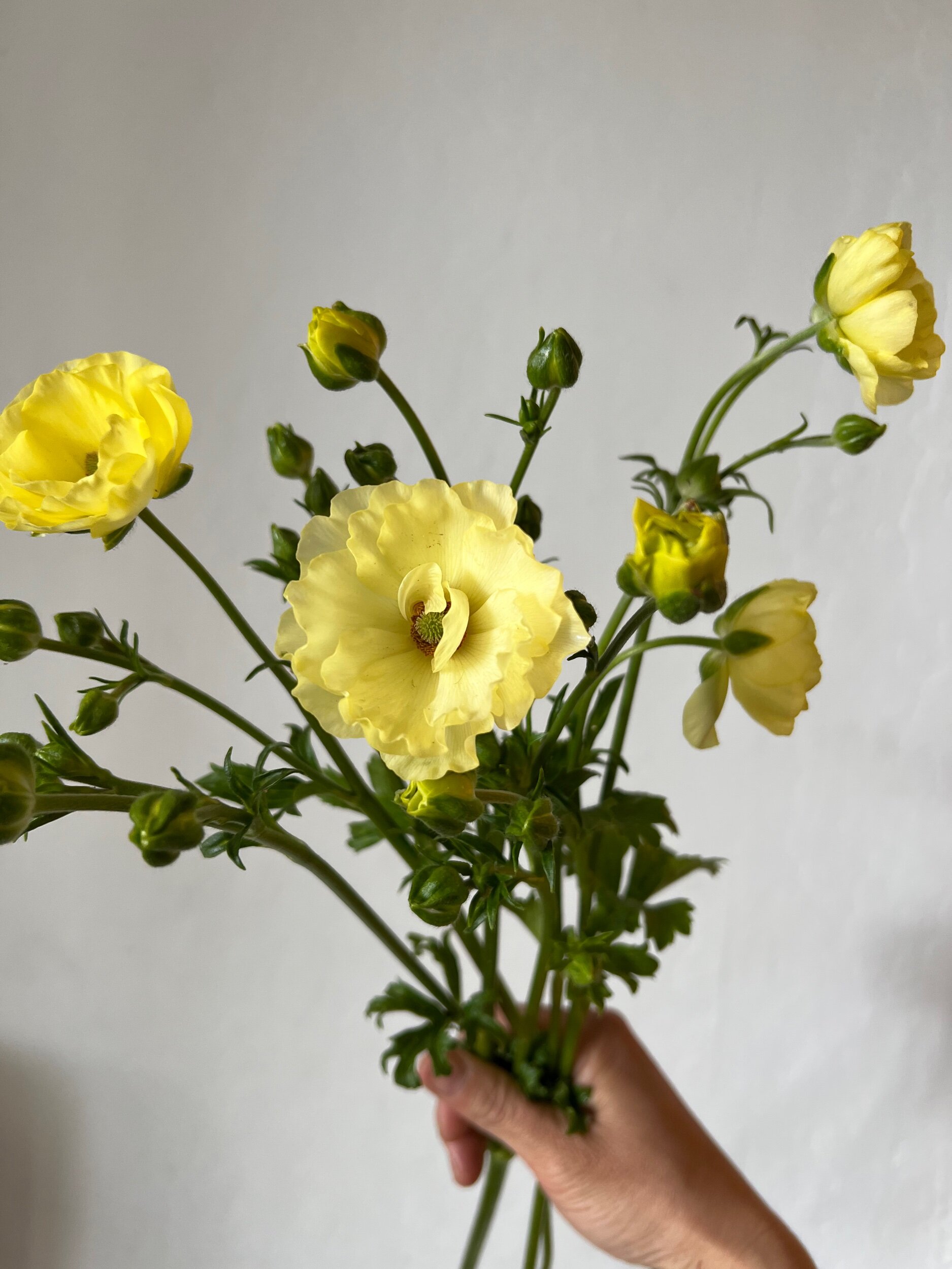 9D4599C4-F8D6-451C-8AFF-05E764229B20