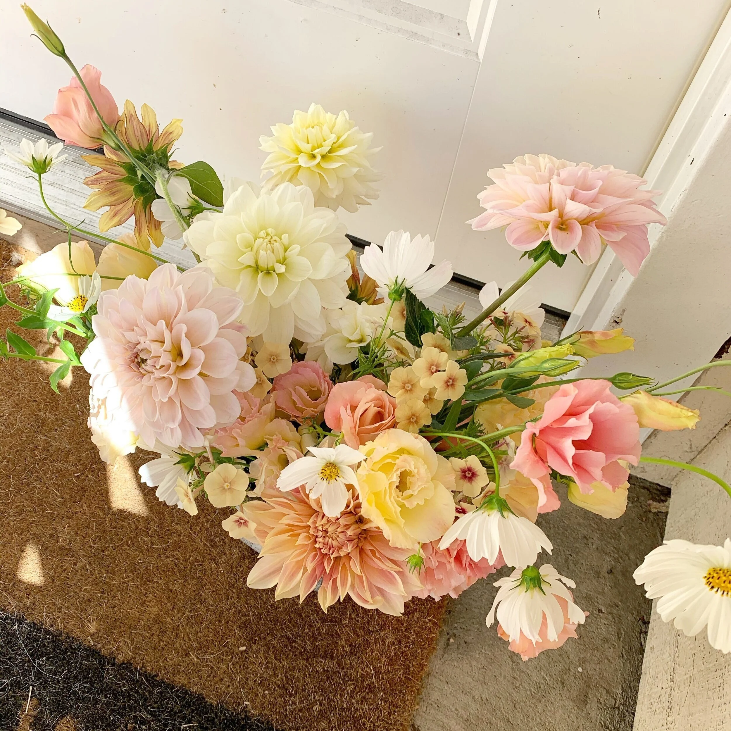 233CFA6F-BCAB-4576-BCEC-FE43D70E825E