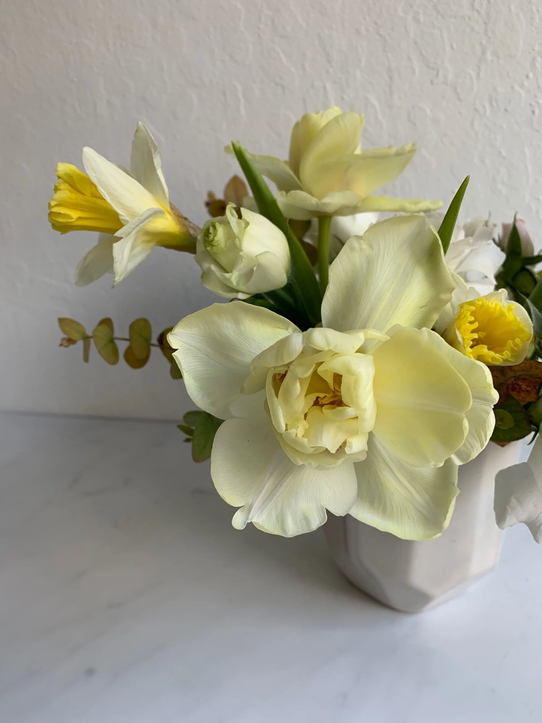 24544623-1C2C-4832-B17E-3BC1A71E60B1