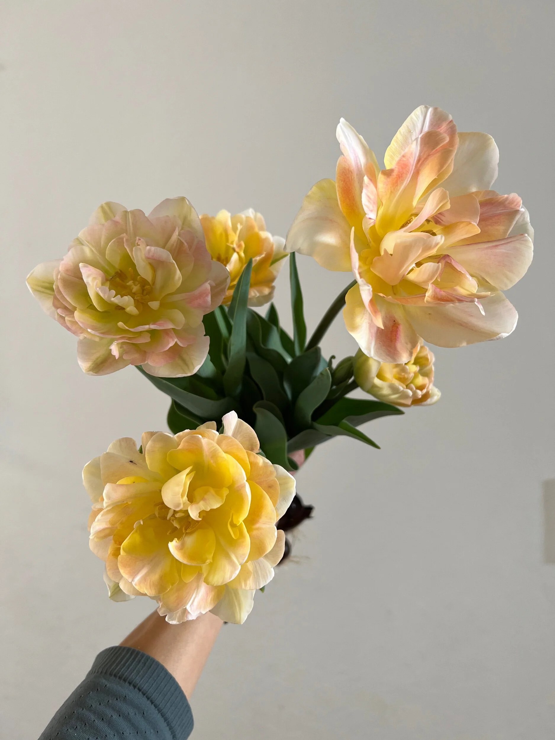 D22269BA-A7EB-4553-AF35-252D000DDFD5