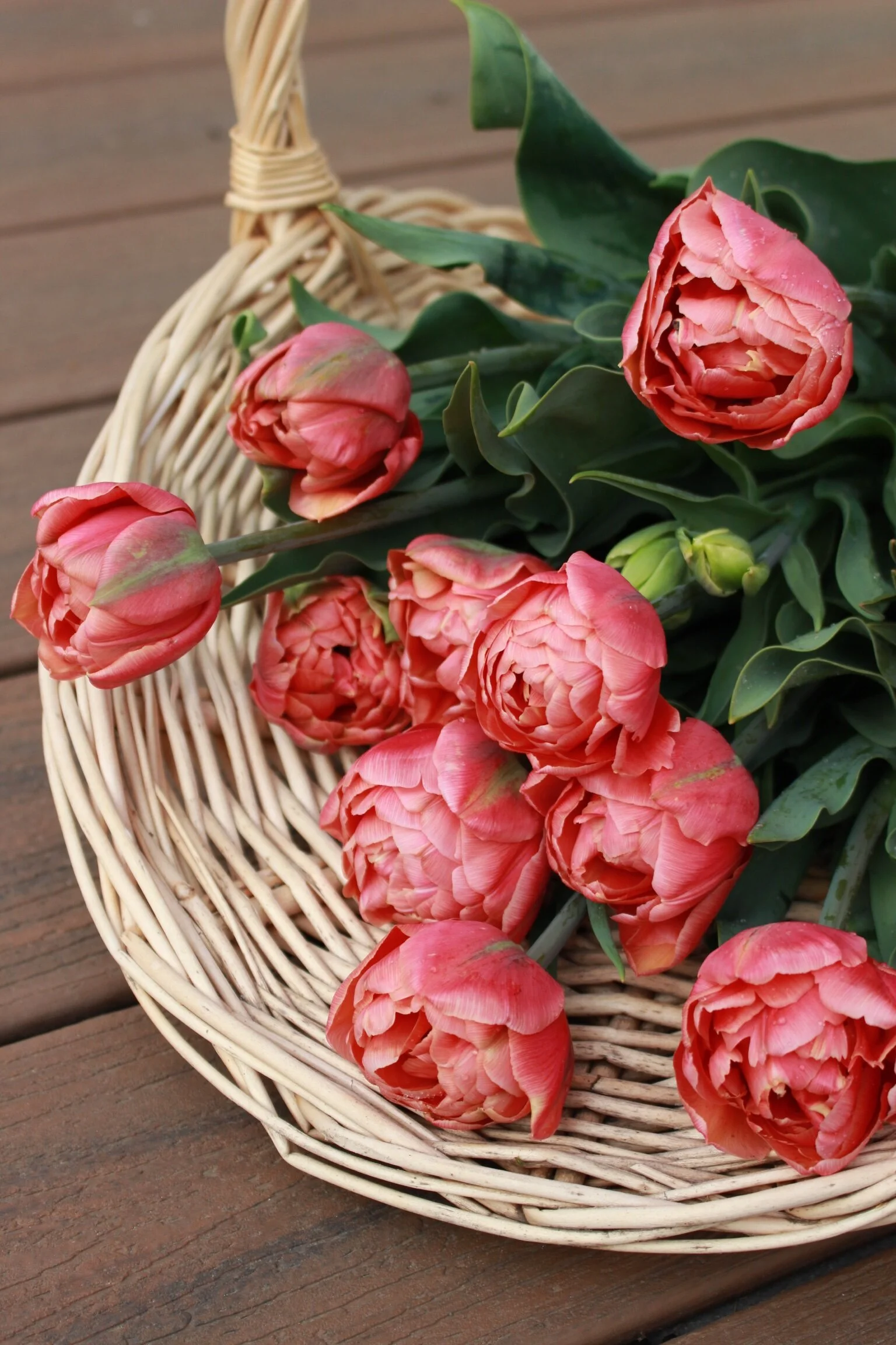 BC4FA2A9-B3A1-4C92-B25F-38806BD8FA64