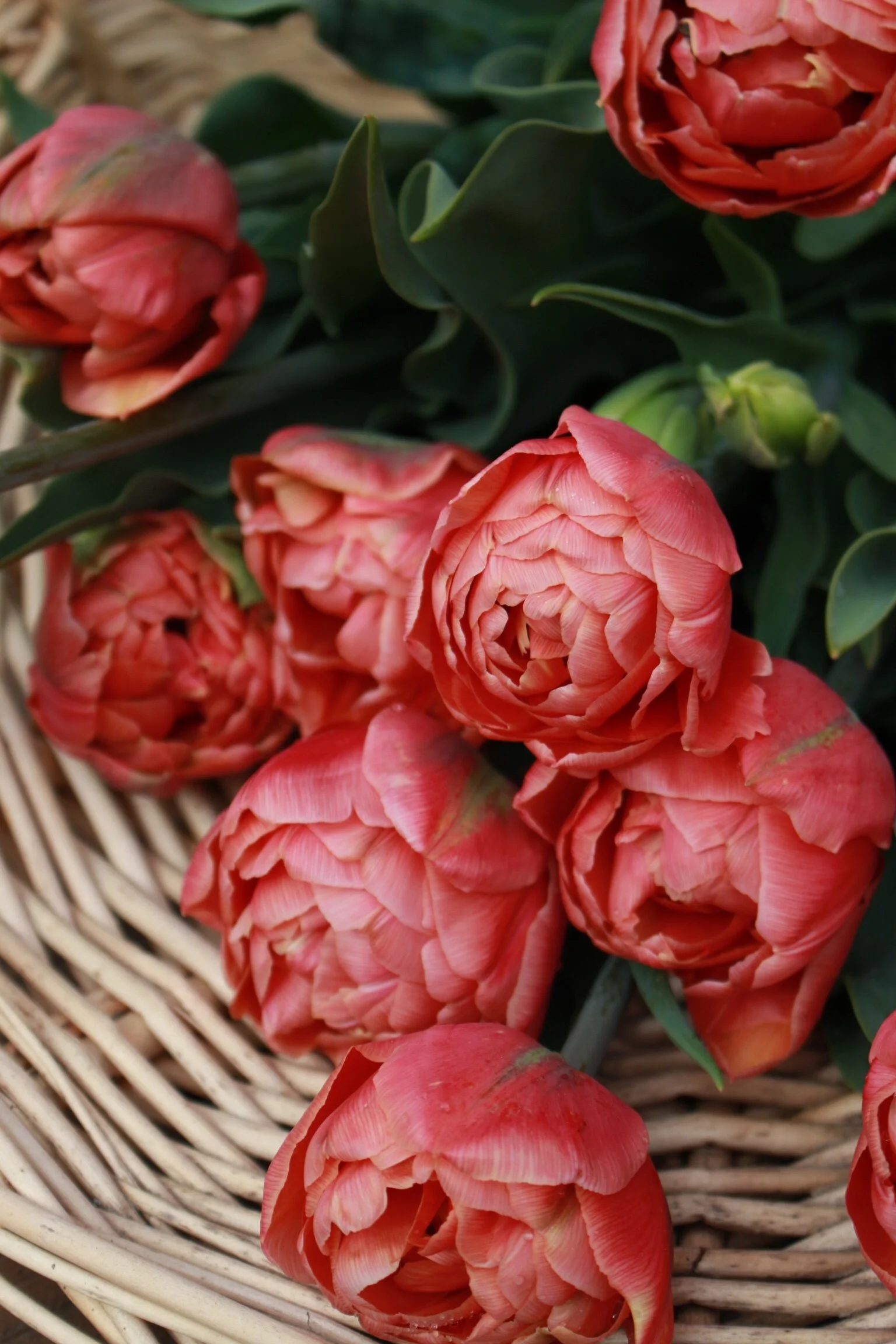 DE2D1E81-5C63-44C6-9590-7F4164D9B4D3