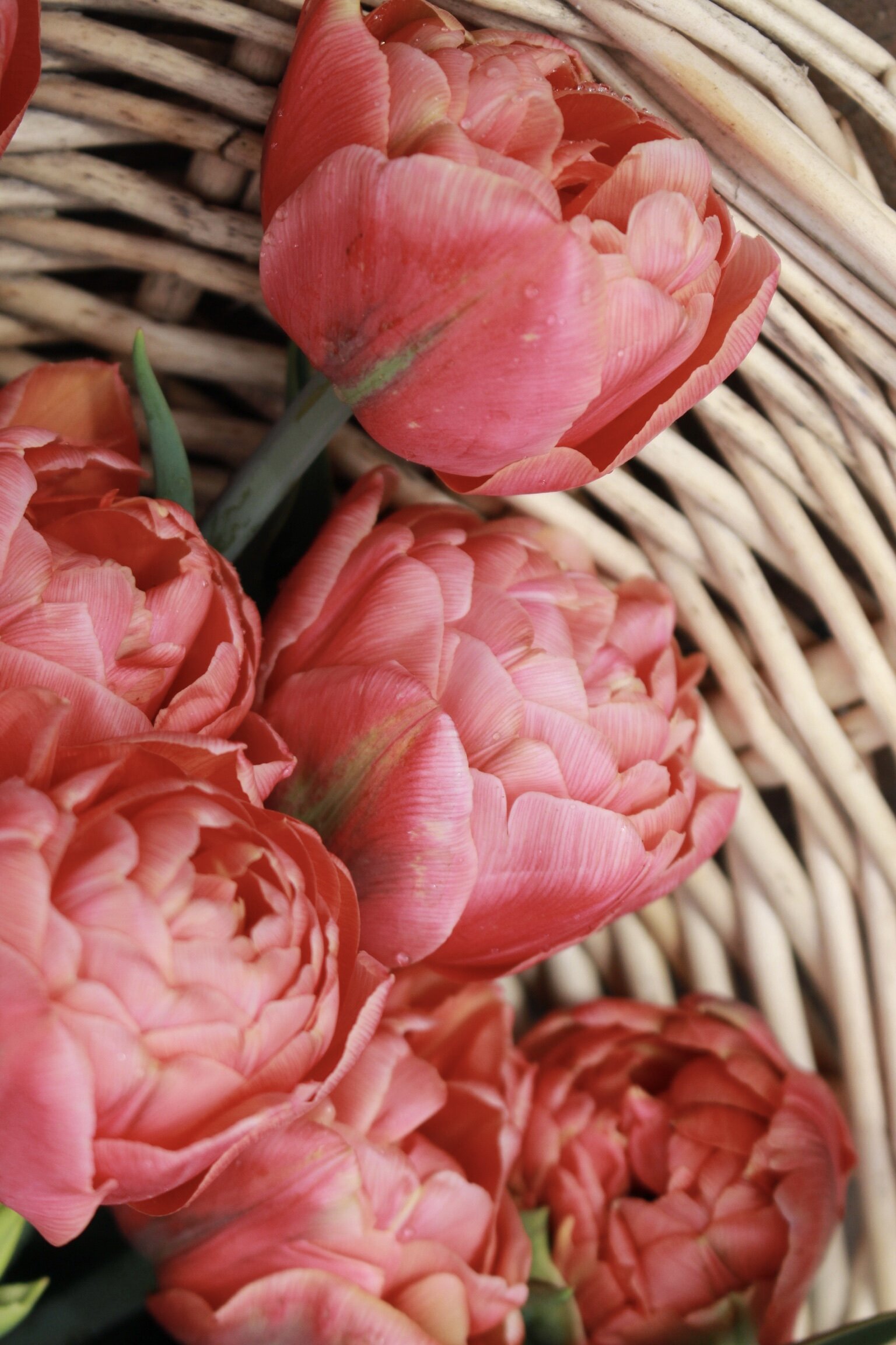 F8488AA2-3E70-4089-A8D6-0470953F738A