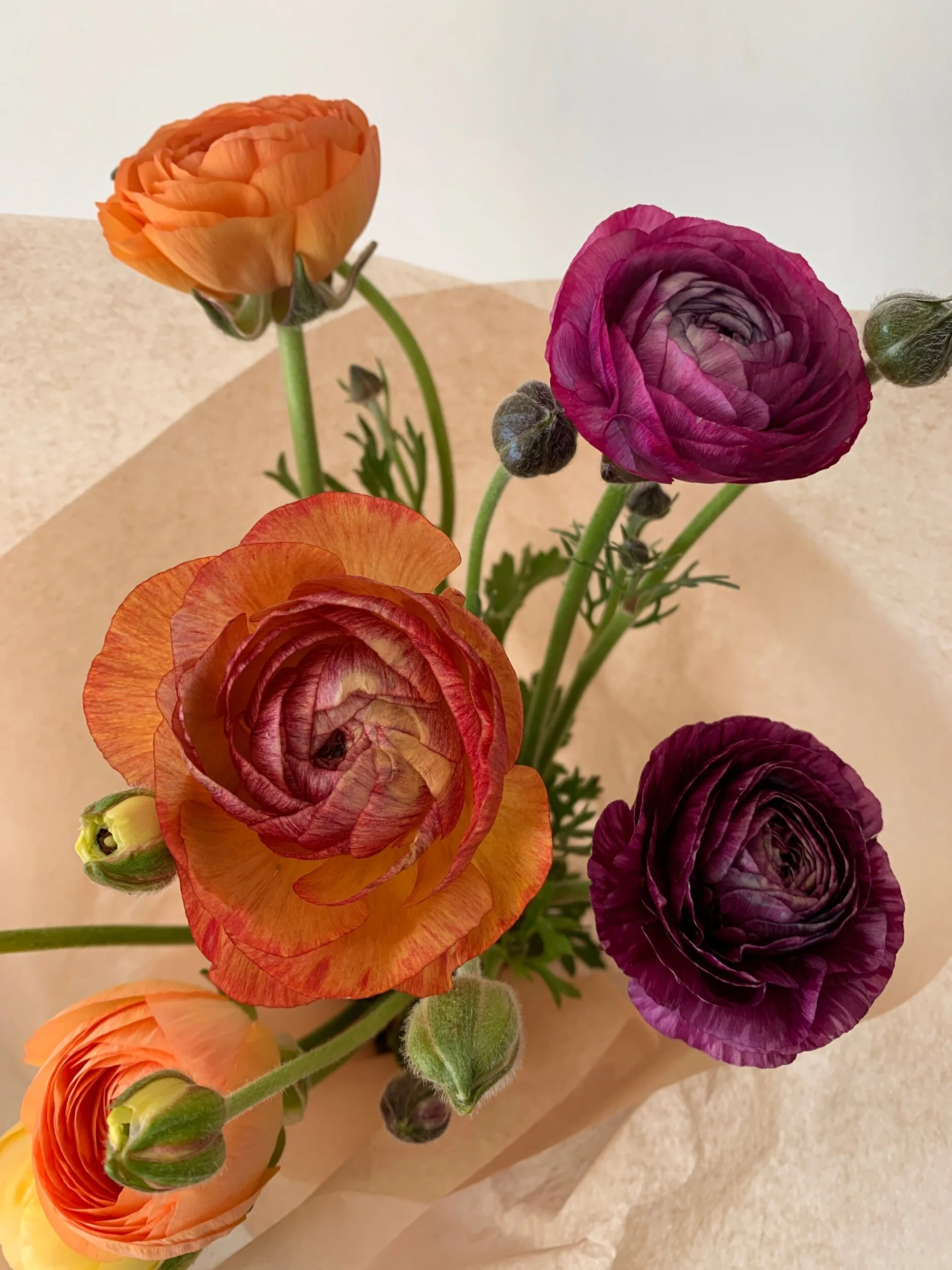 EAB849E0-4632-4CF0-9315-E2A05E2B14CA