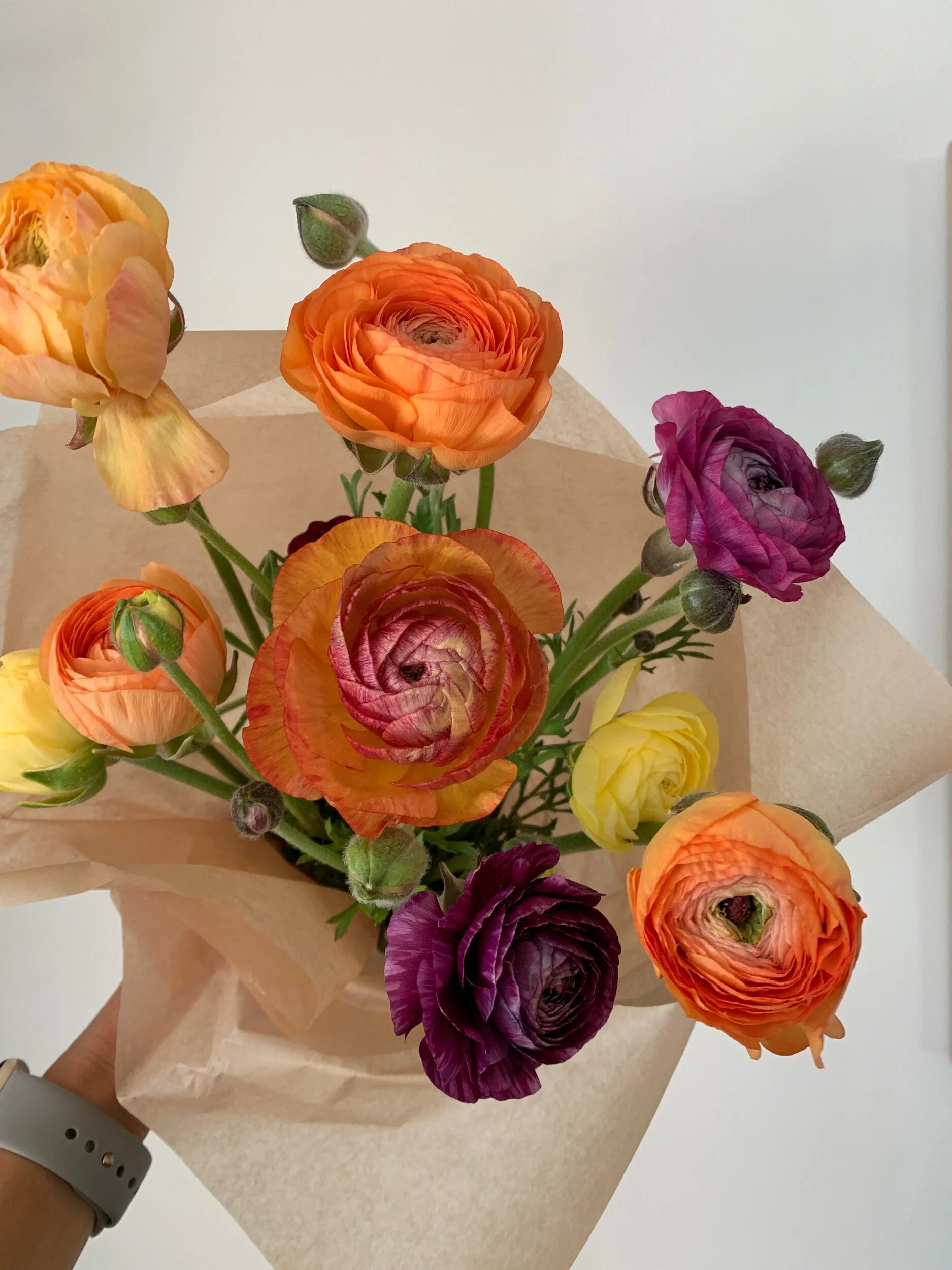 8496696B-D072-46E3-9890-B77A1C8ACEE8