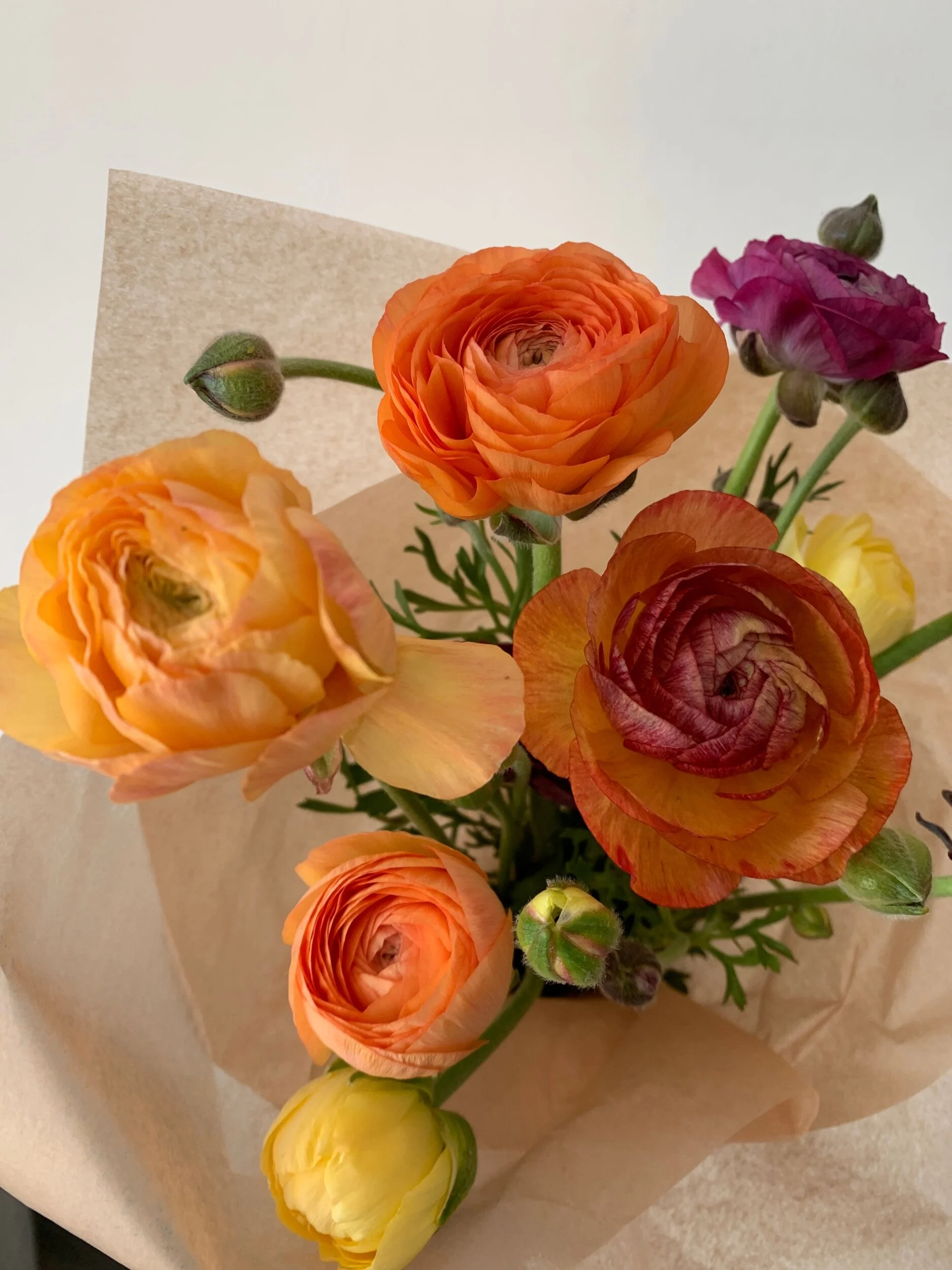 EA8E2E8F-D17E-423E-BABC-B09E643DCD7F