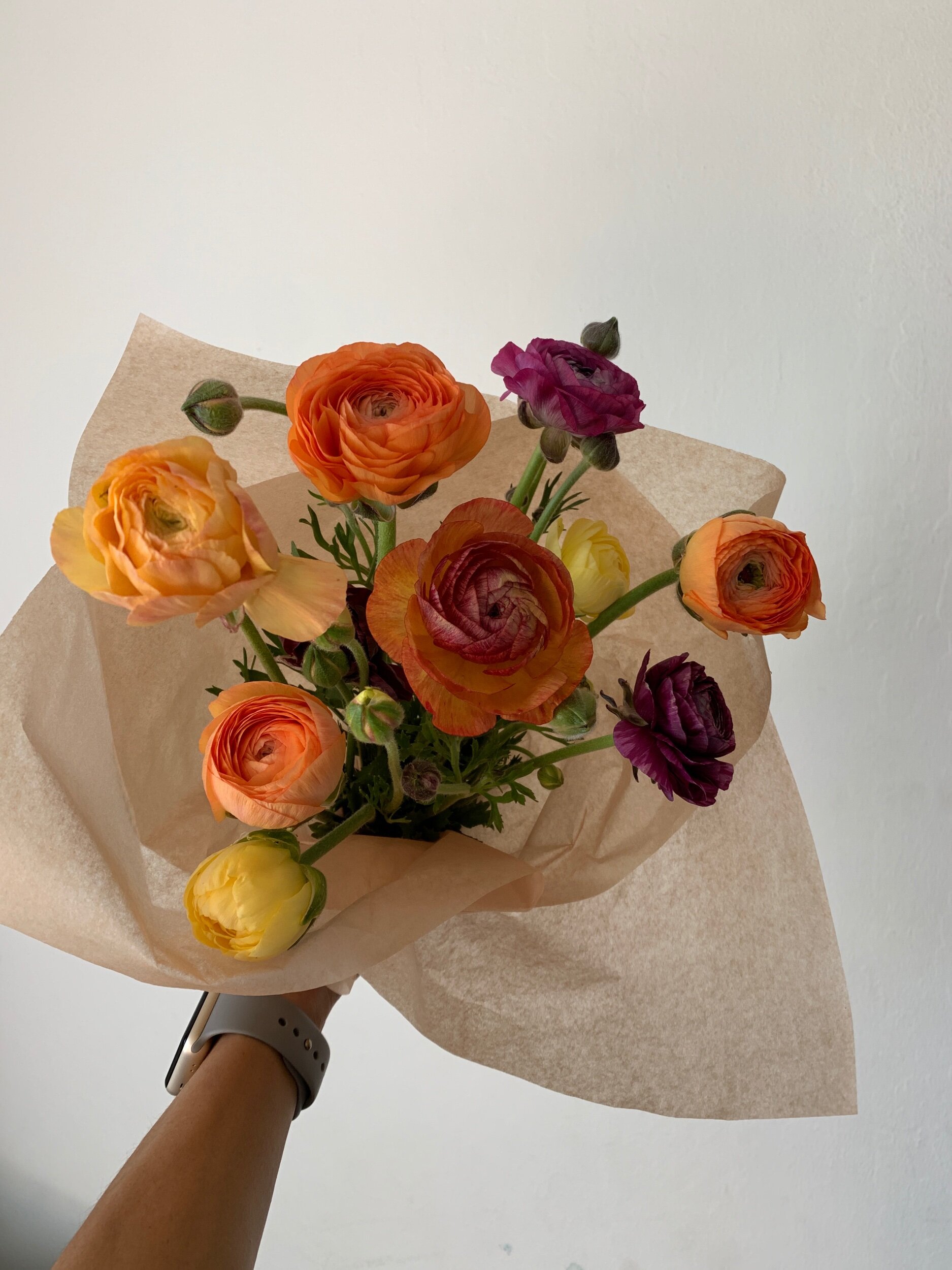 4F06B160-E999-411B-8E95-93D870C904B0