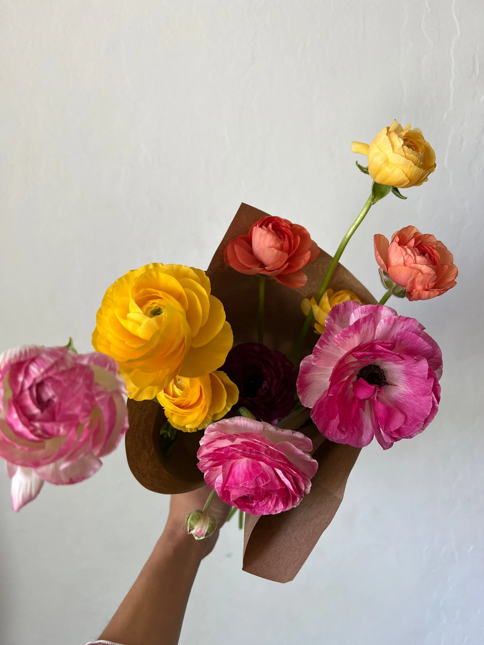 957ACAFD-3406-4A51-8102-CAFA78E93952