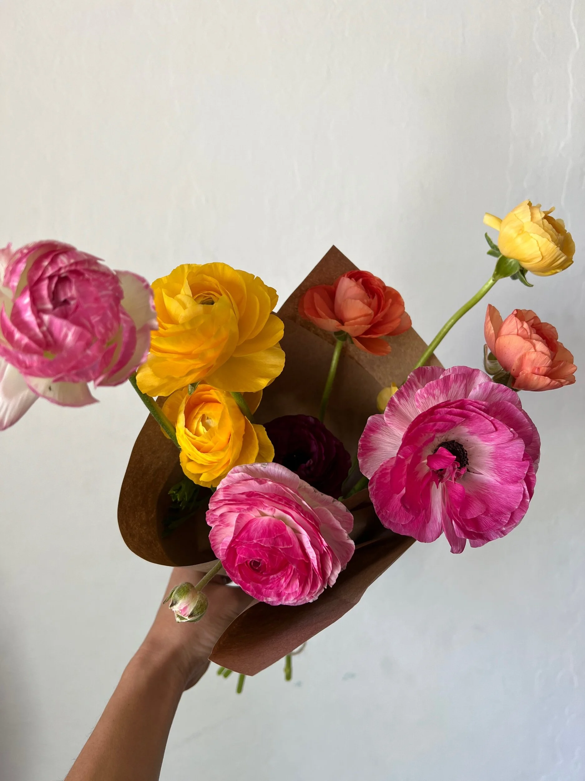 56918D50-2260-4FA0-B7AE-44CD68EB4F29