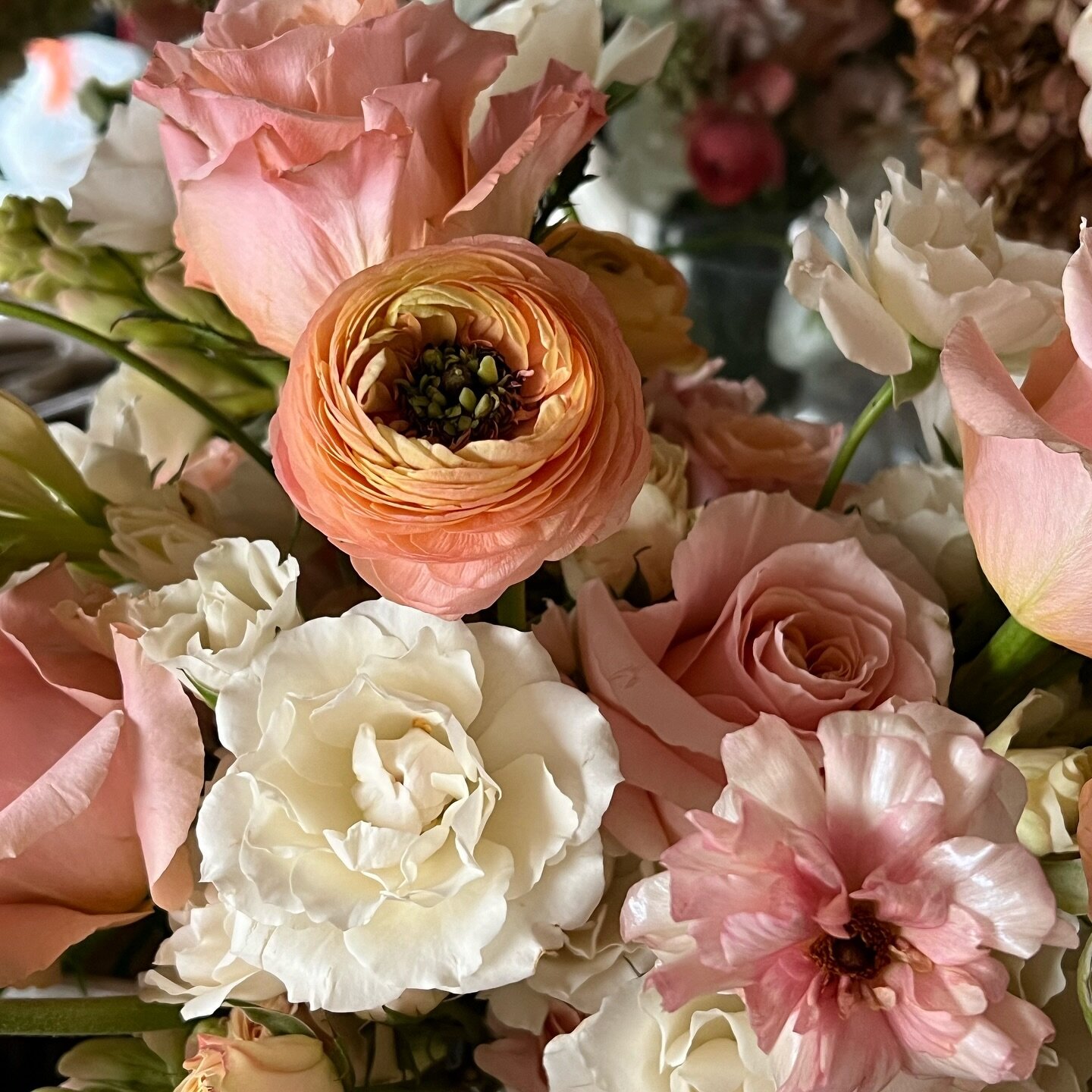 not bad for january from the local san jose flower wholesale markets! just love when the peach pastel ranunculus and butterfly ranunculus are available!

personals for matt and josephine&rsquo;s wedding tomorrow are going to shine!