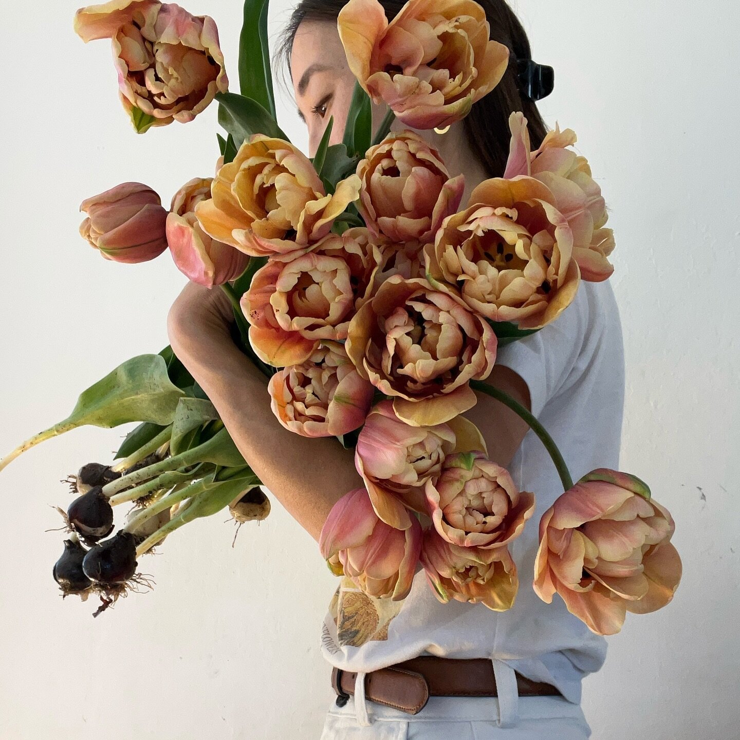 cr&egrave;me de la cr&egrave;me of tulips. harvested these yesterday!

proud of myself for not getting my white jeans dirty 😆

#lebelleepoque #lebelle&eacute;poque