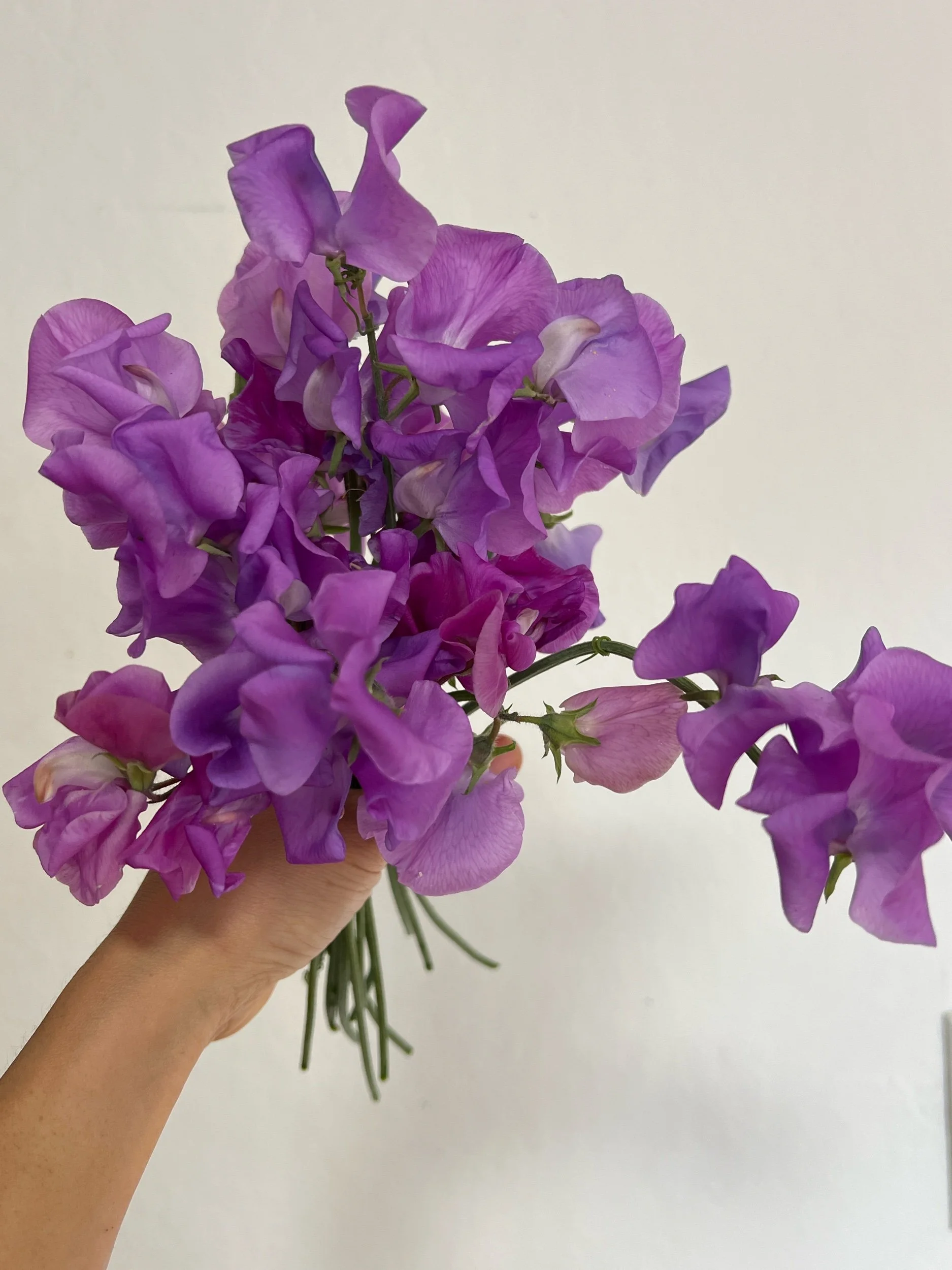 B6B3715B-A80C-40EE-BB2D-1E42E70740A9