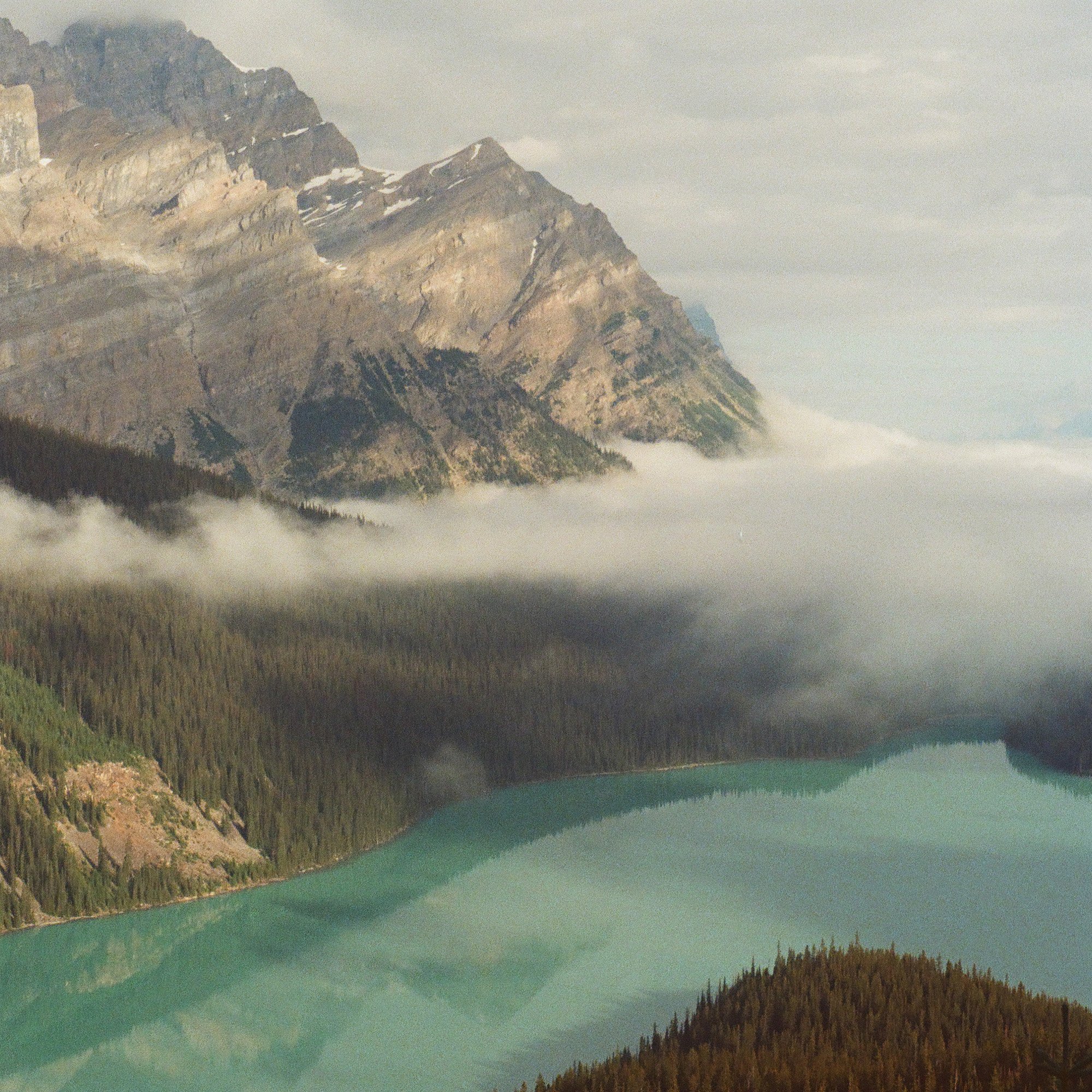 Banff on Film
