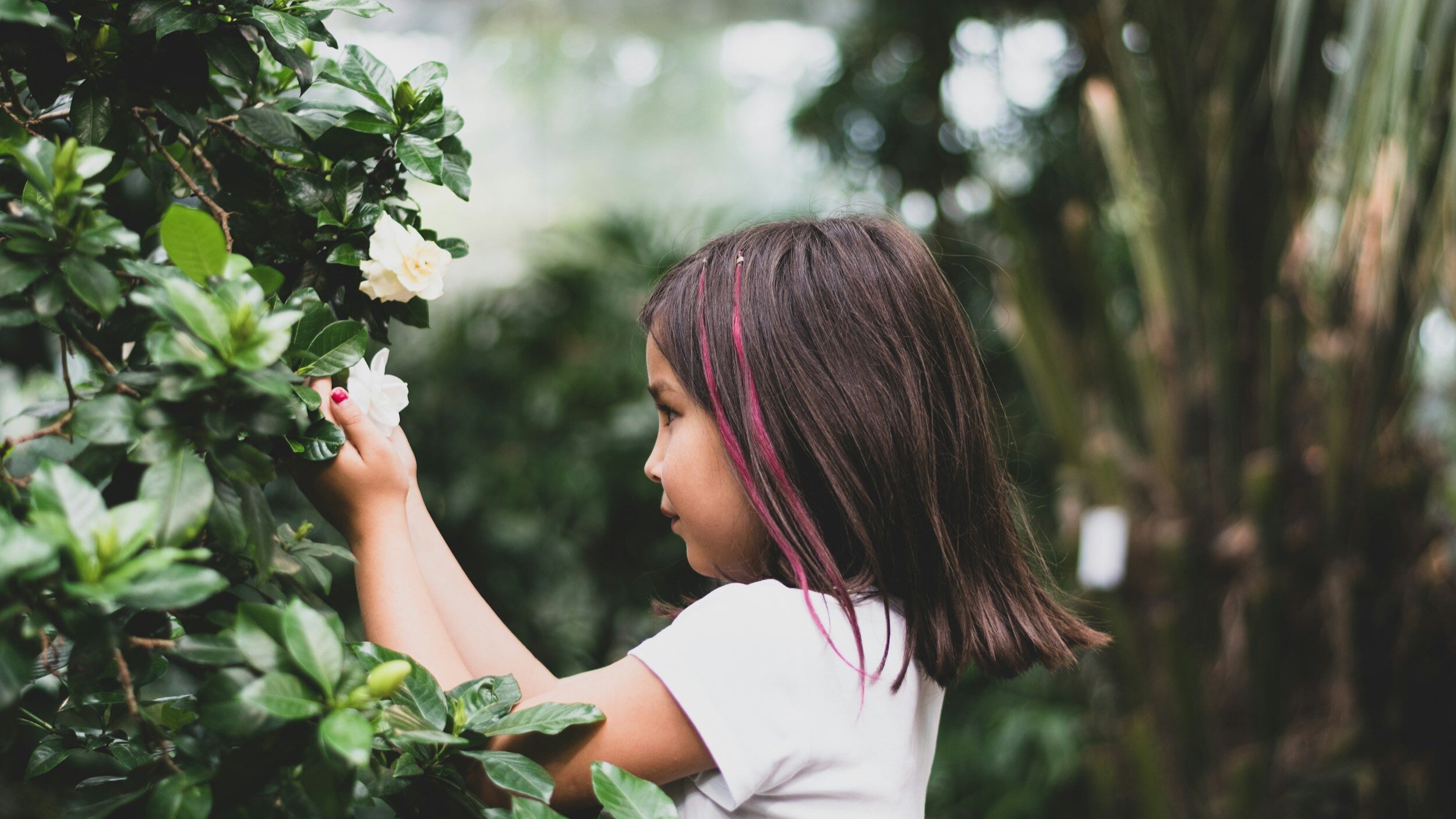 Enrich Your Children’s Learning Journey with Exploration