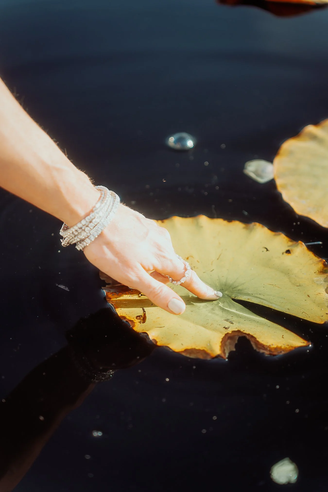 A hand with jewelry touching a lily pad on a dark water pond.
