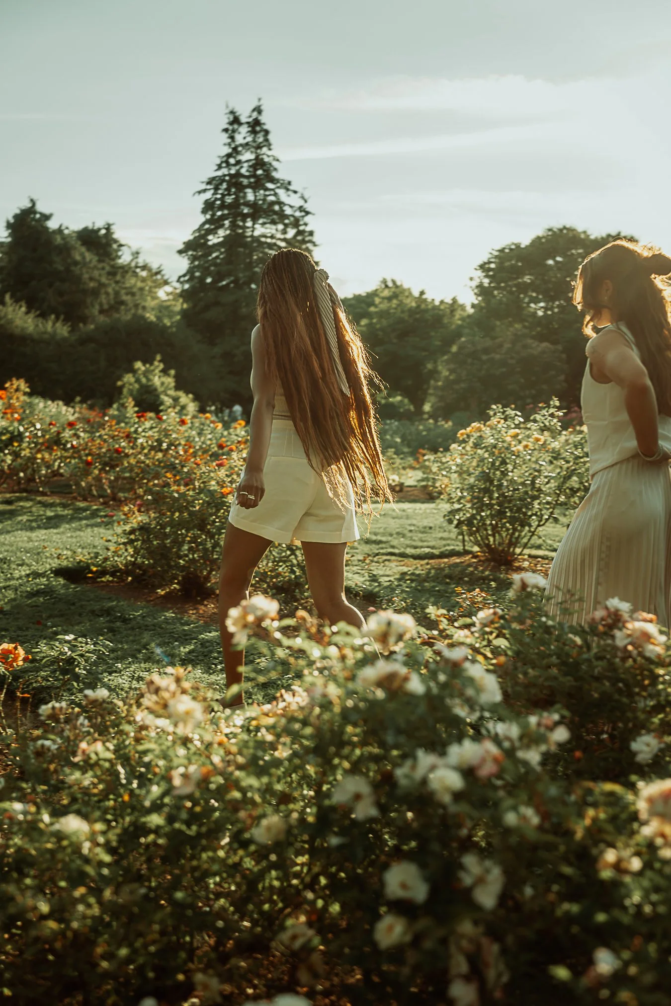 Two women walking among flowering bushes in a garden during sunset.