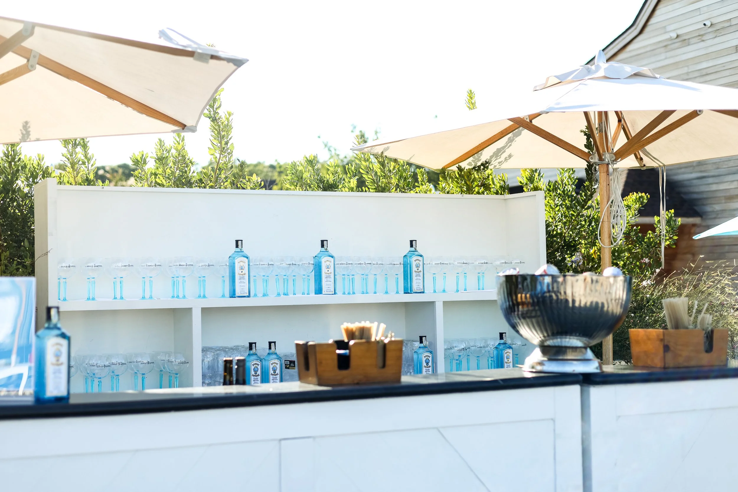 Copy of BFA_50849_7311179.jpg