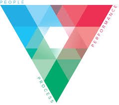 Team Coaching and the SDI Report