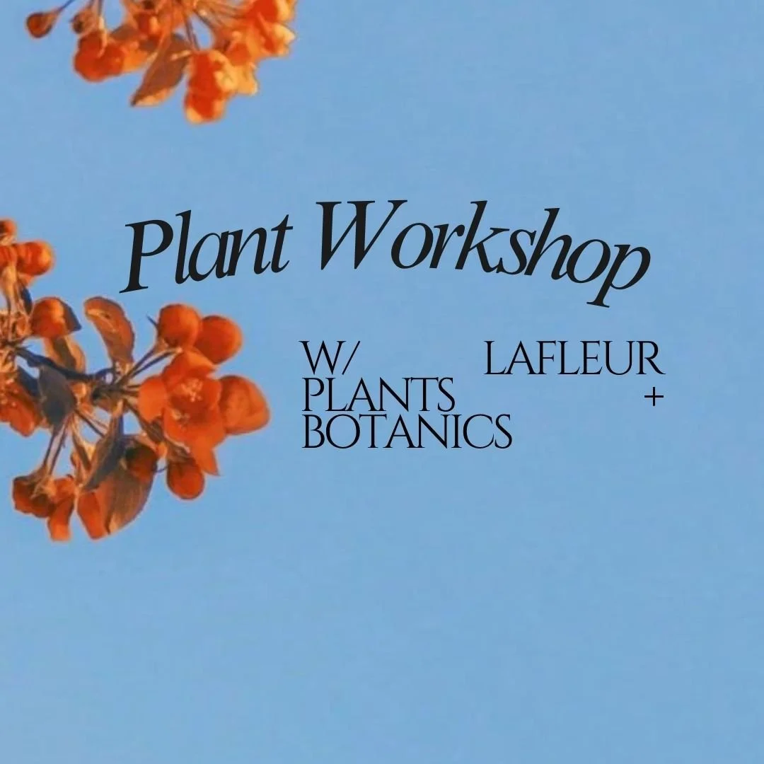 taco & terrarium plant workshop w/ lafleur