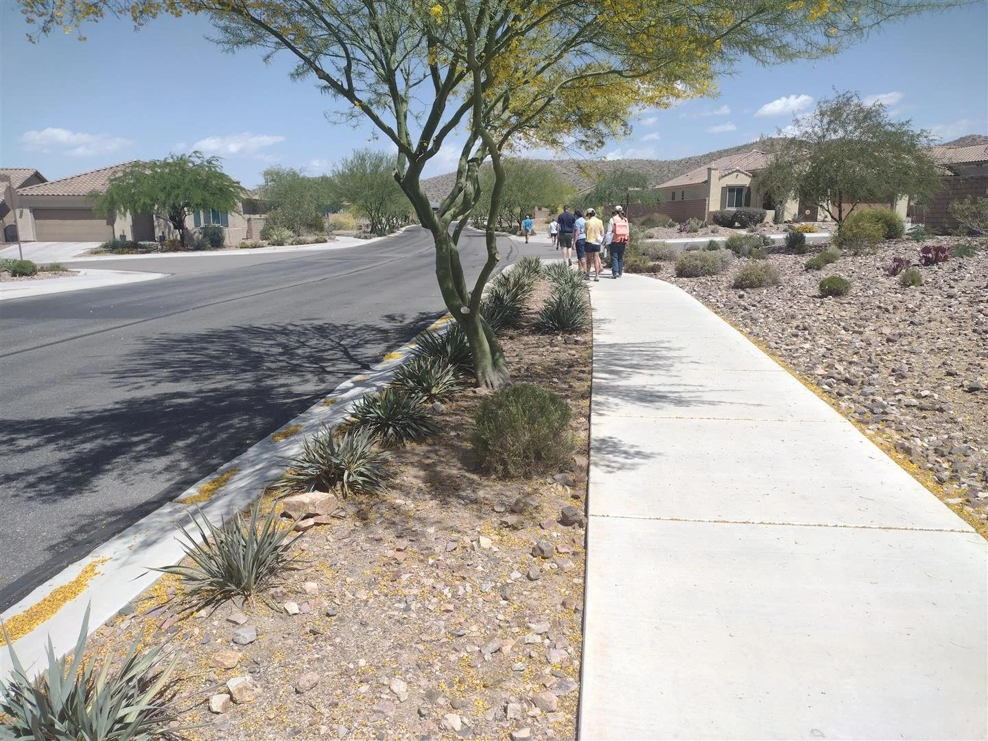 Del b Dove Mountain — Wilder Landscape Architects