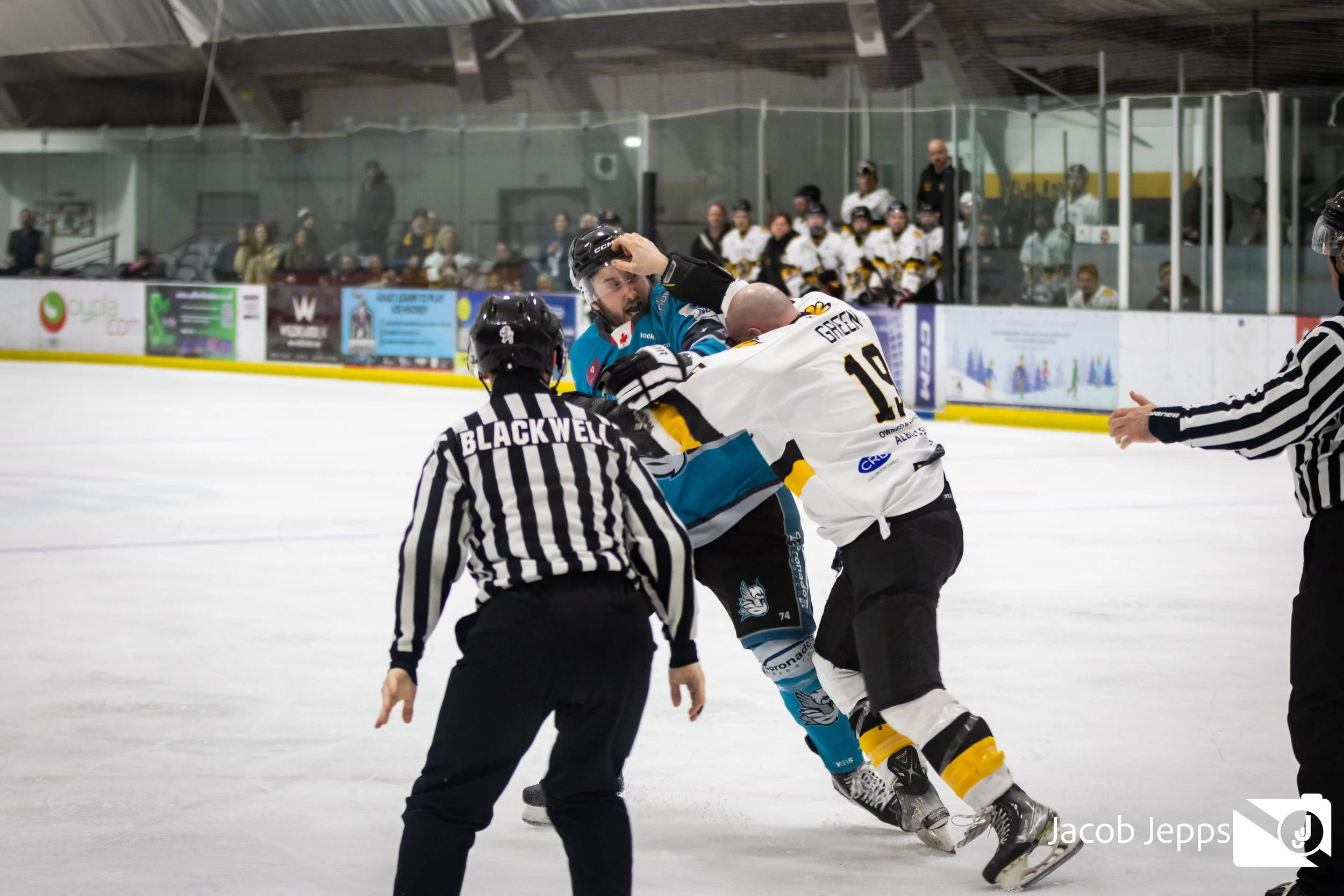 Warriors 1st Feb Website-527.jpg